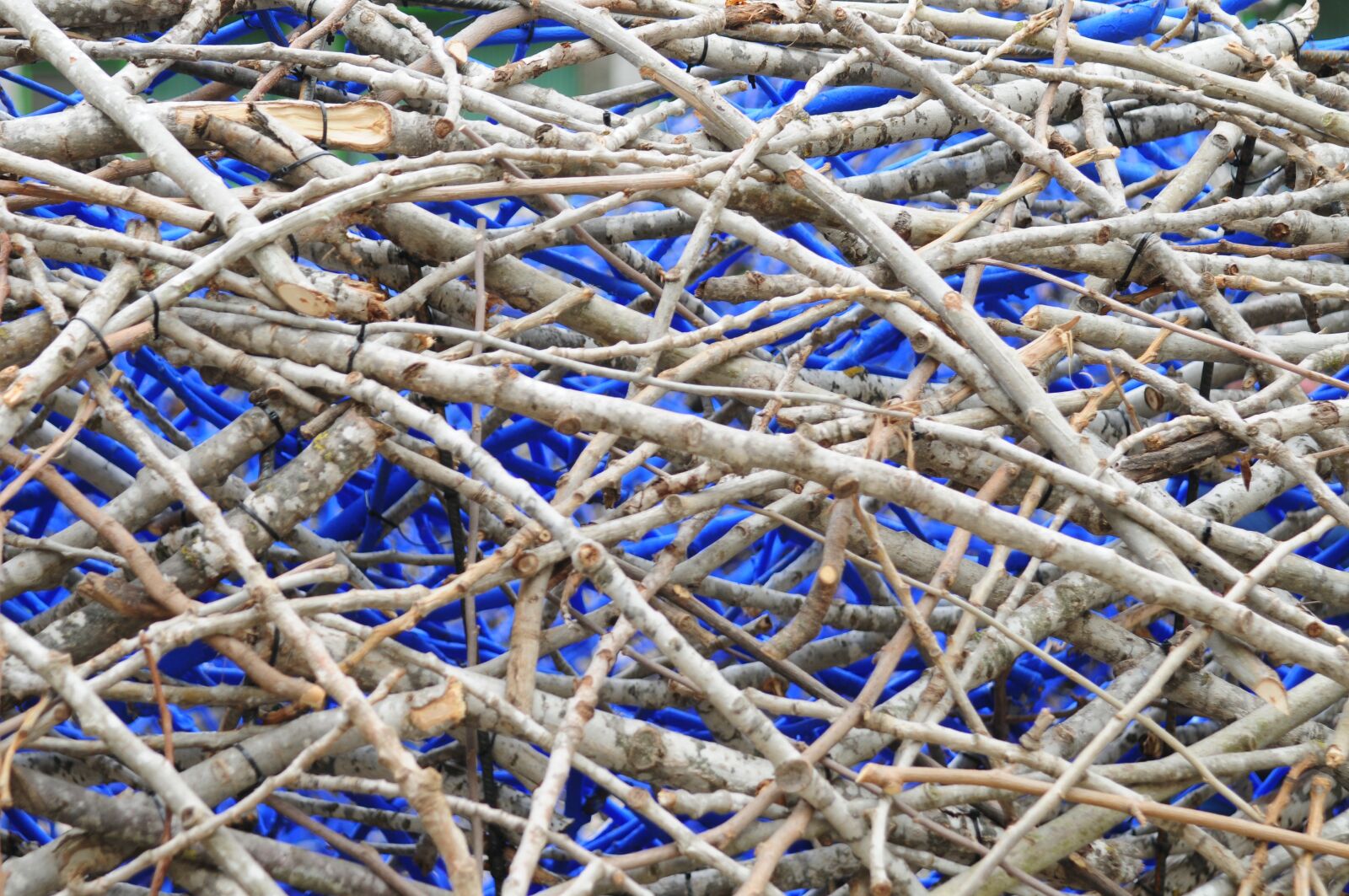 Nikon D300 sample photo. Blue, wood, texture photography