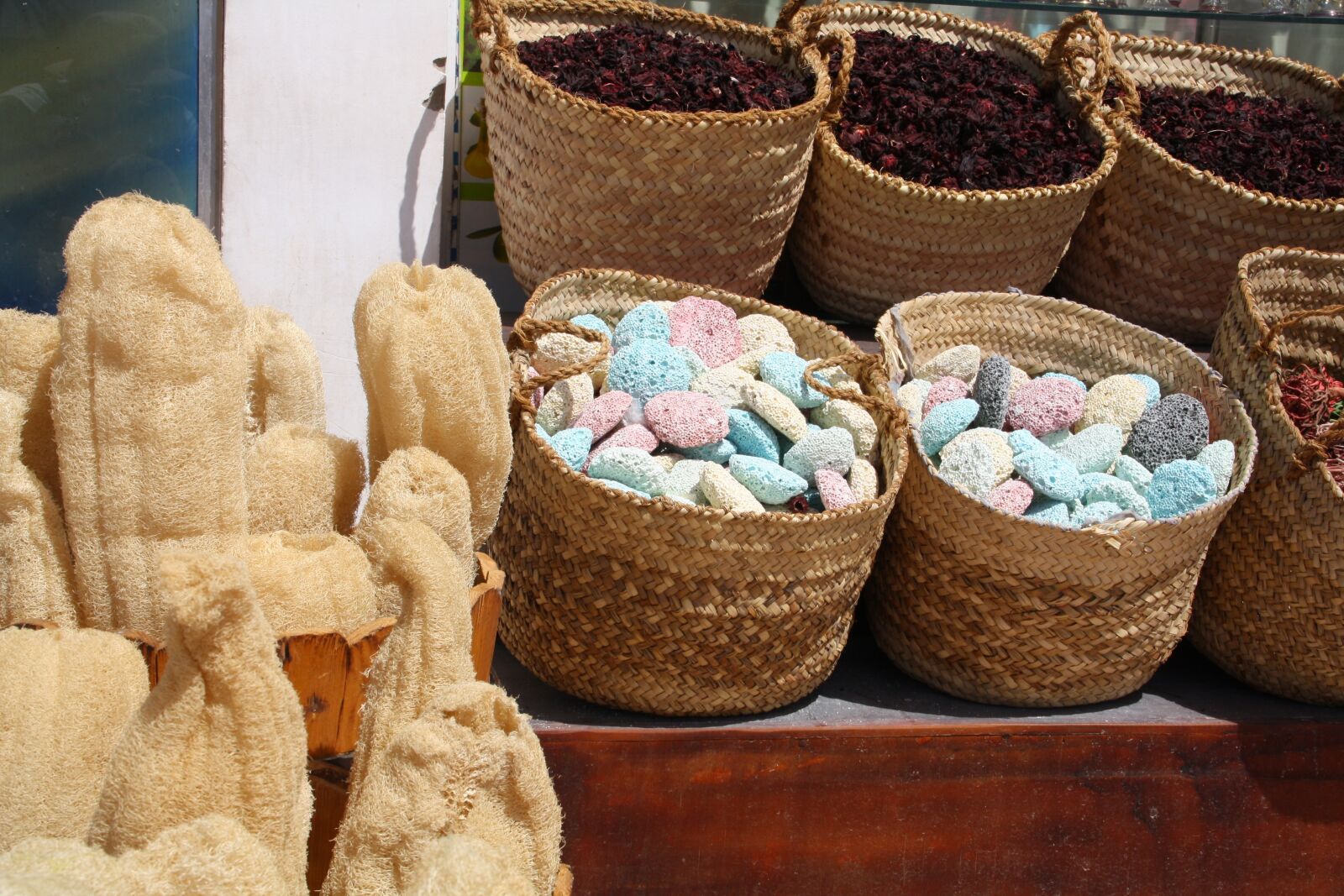Canon EOS 1000D (EOS Digital Rebel XS / EOS Kiss F) sample photo. Sponge the red sea photography