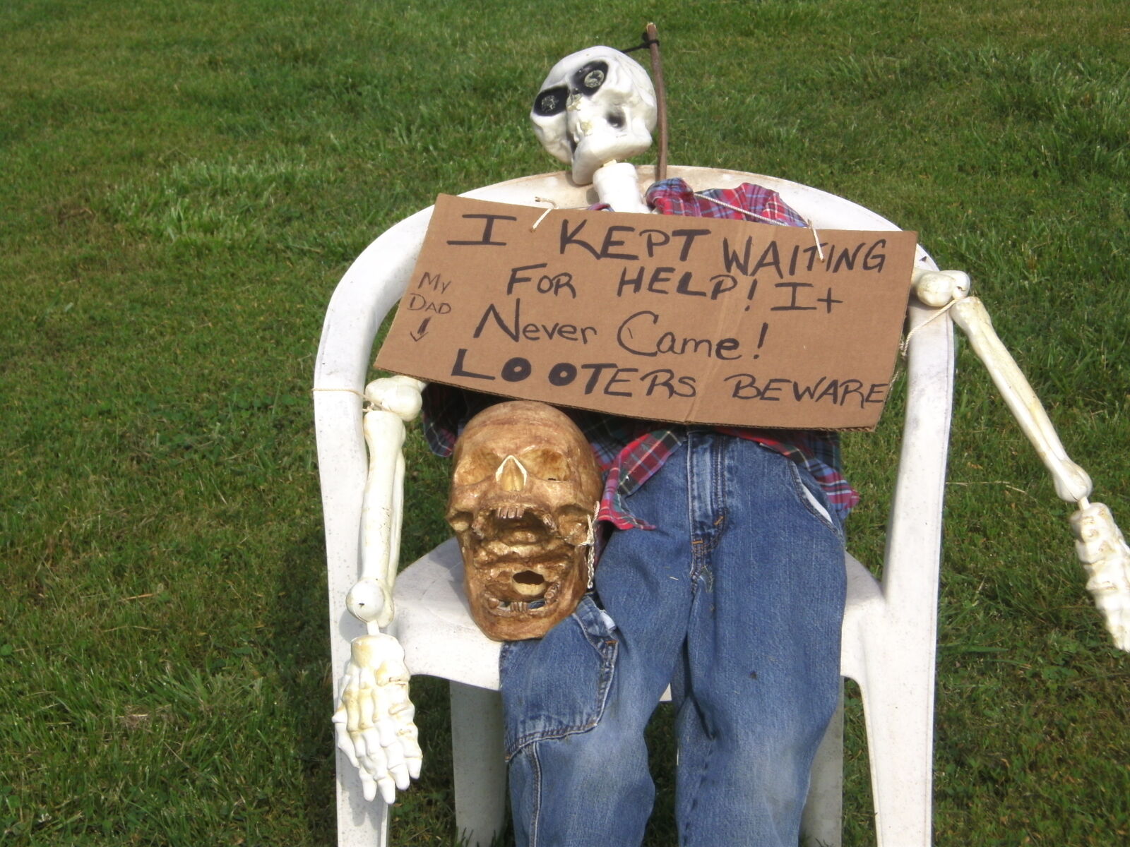 CAMERA 8MP-9HX sample photo. George, joke, skeleton photography