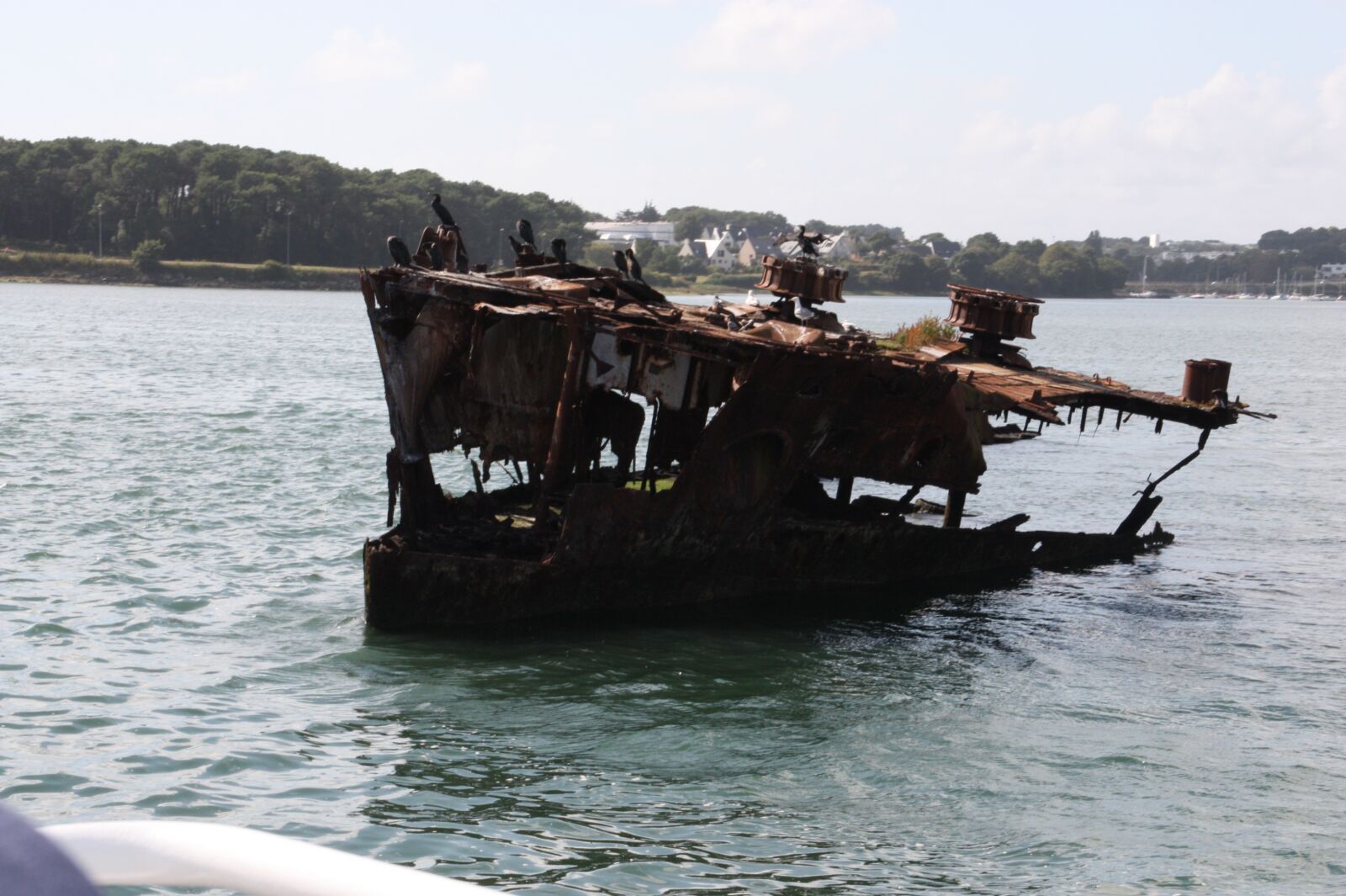 Canon EOS 450D (EOS Rebel XSi / EOS Kiss X2) sample photo. Wreck, rusted, ship photography