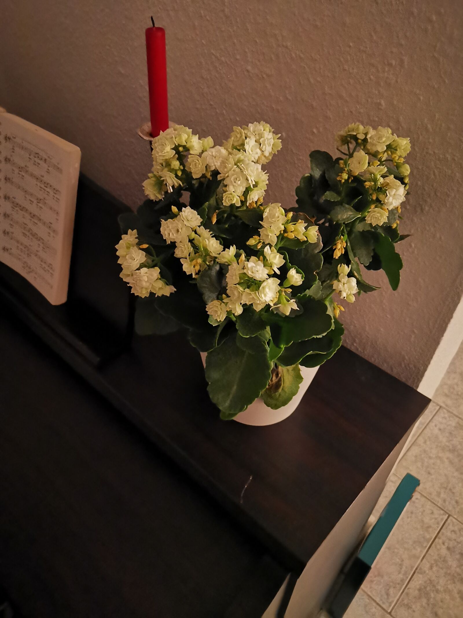 HUAWEI HMA-L29 sample photo. Bush, candles, deco photography