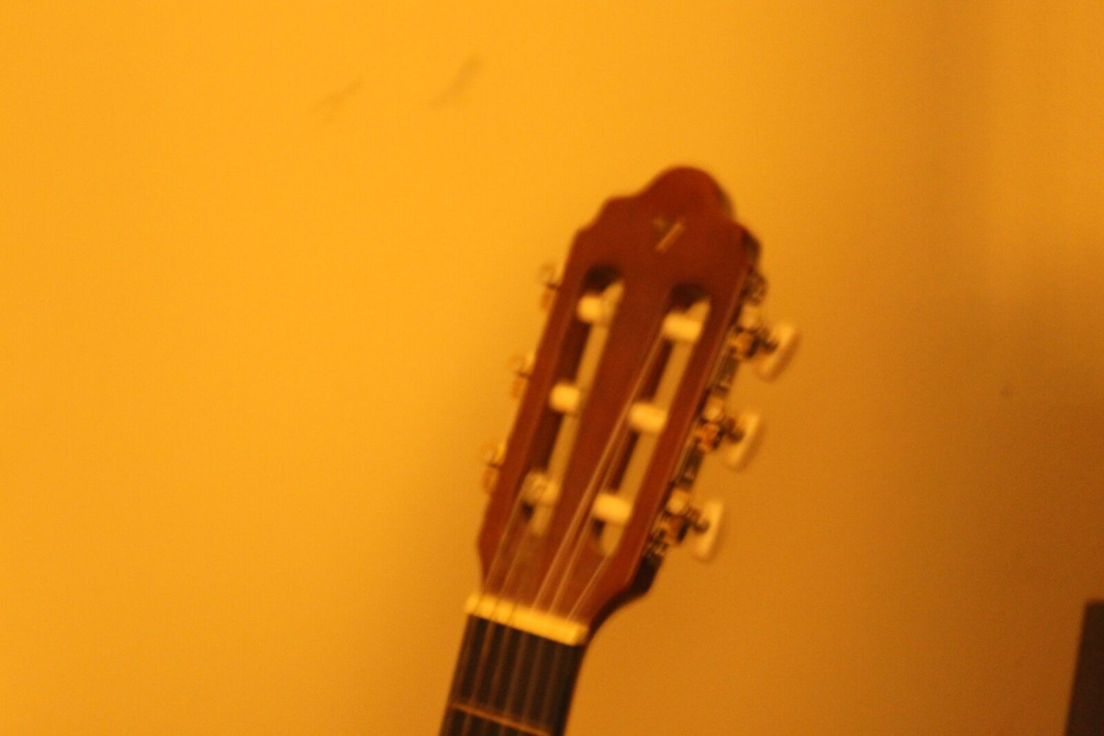 Canon EOS 1300D (EOS Rebel T6 / EOS Kiss X80) sample photo. Guitar, guitarhead, justthehead photography