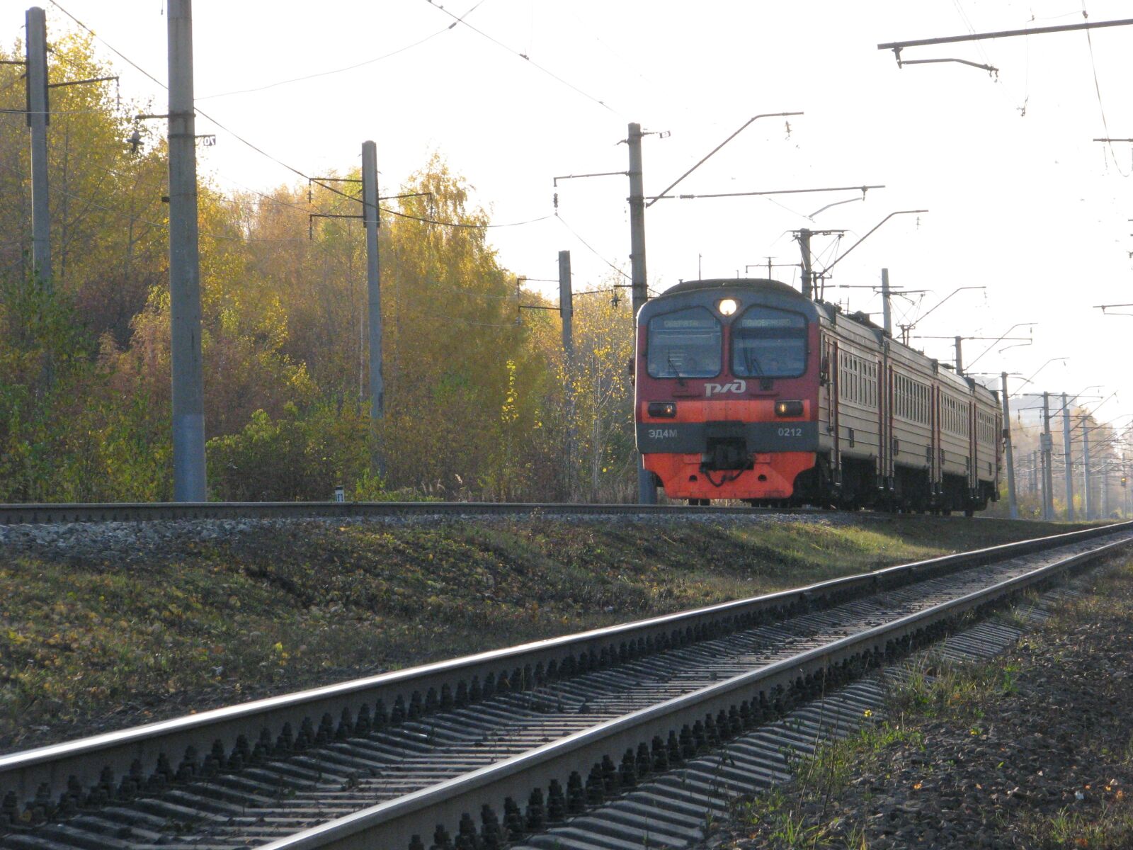 Canon POWERSHOT S5 IS sample photo. Railway, rails, the way photography