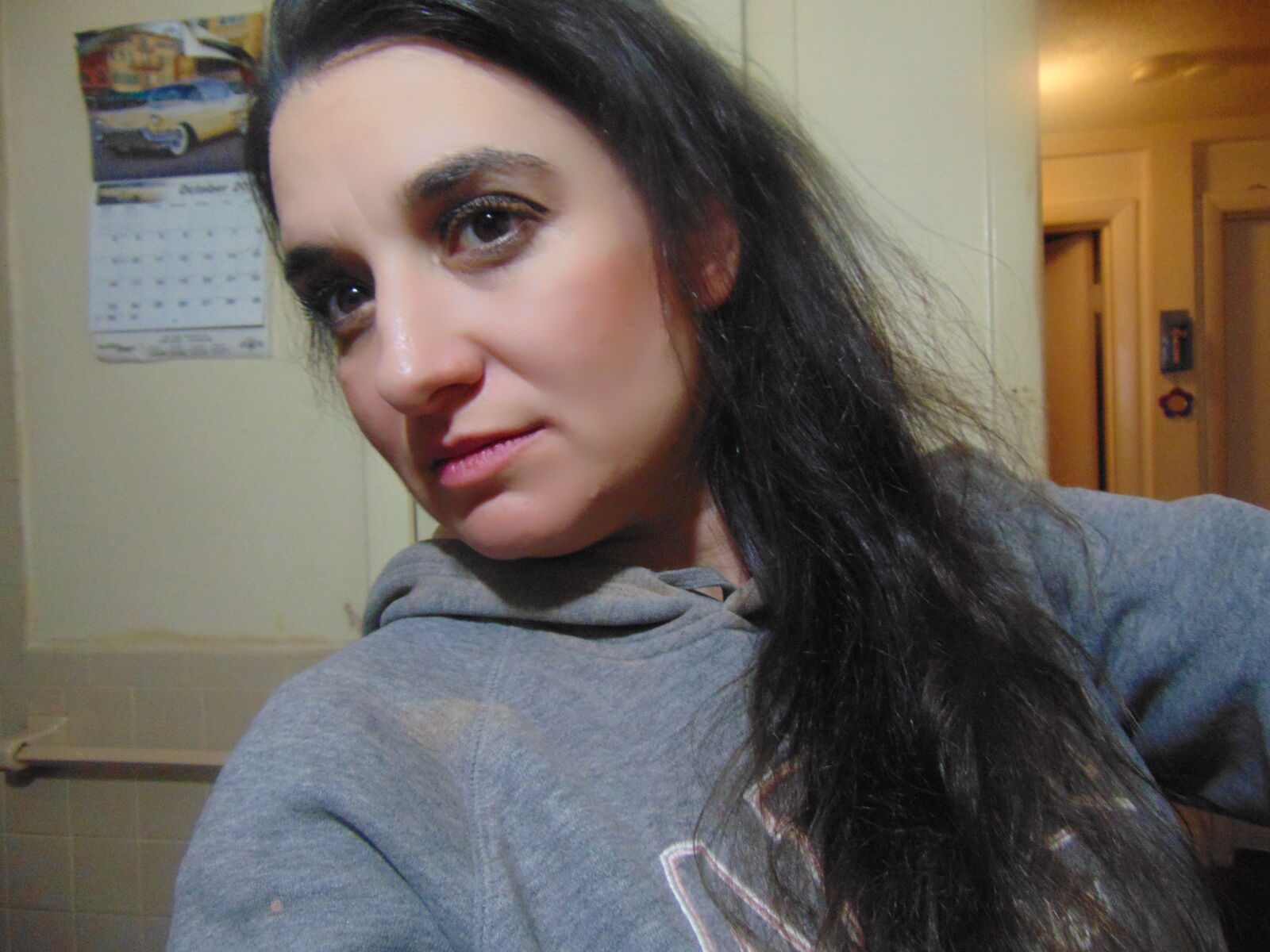 Sony Cyber-shot DSC-H300 sample photo. Singer, christine, marie, ricci photography