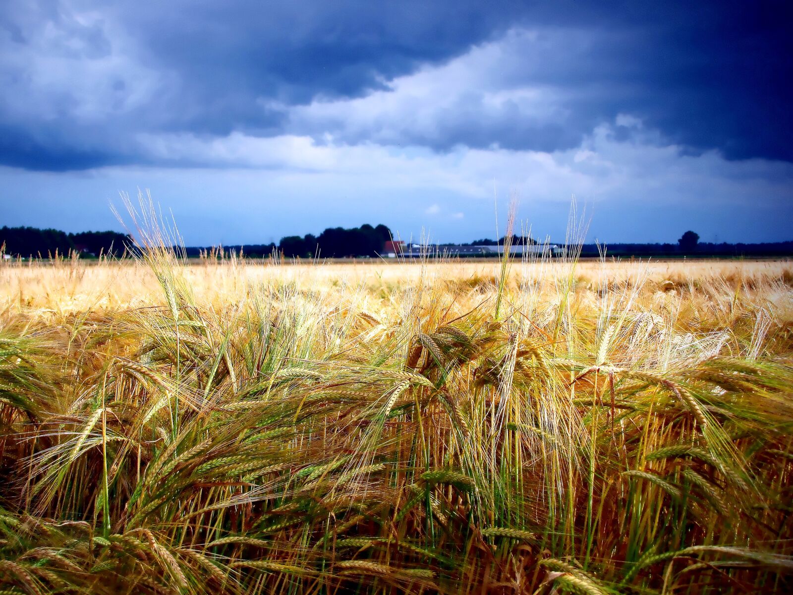 Canon PowerShot SX10 IS sample photo. Grain, hurricane, threat photography