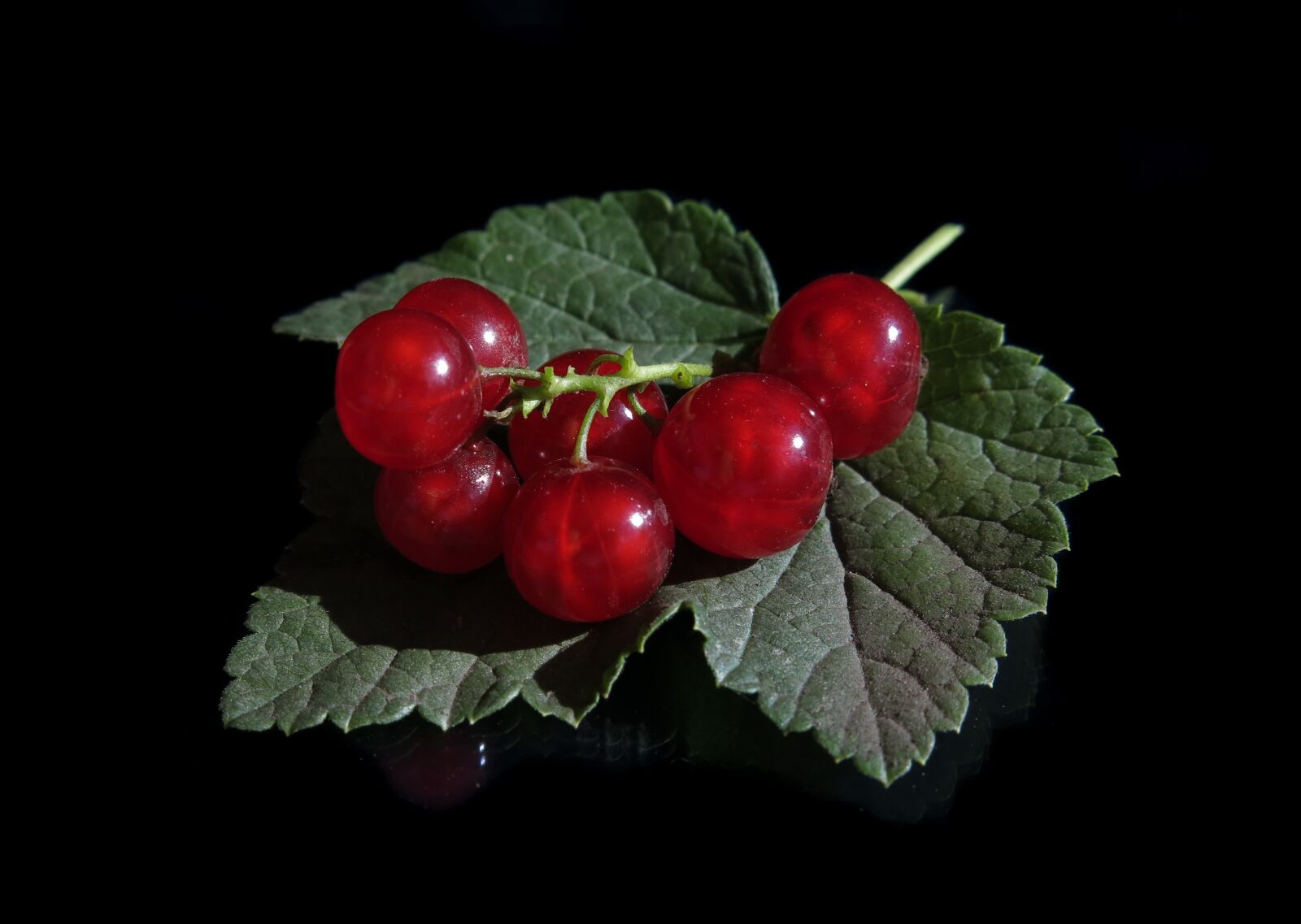Canon PowerShot G15 sample photo. Red currant, ribes rubrum photography