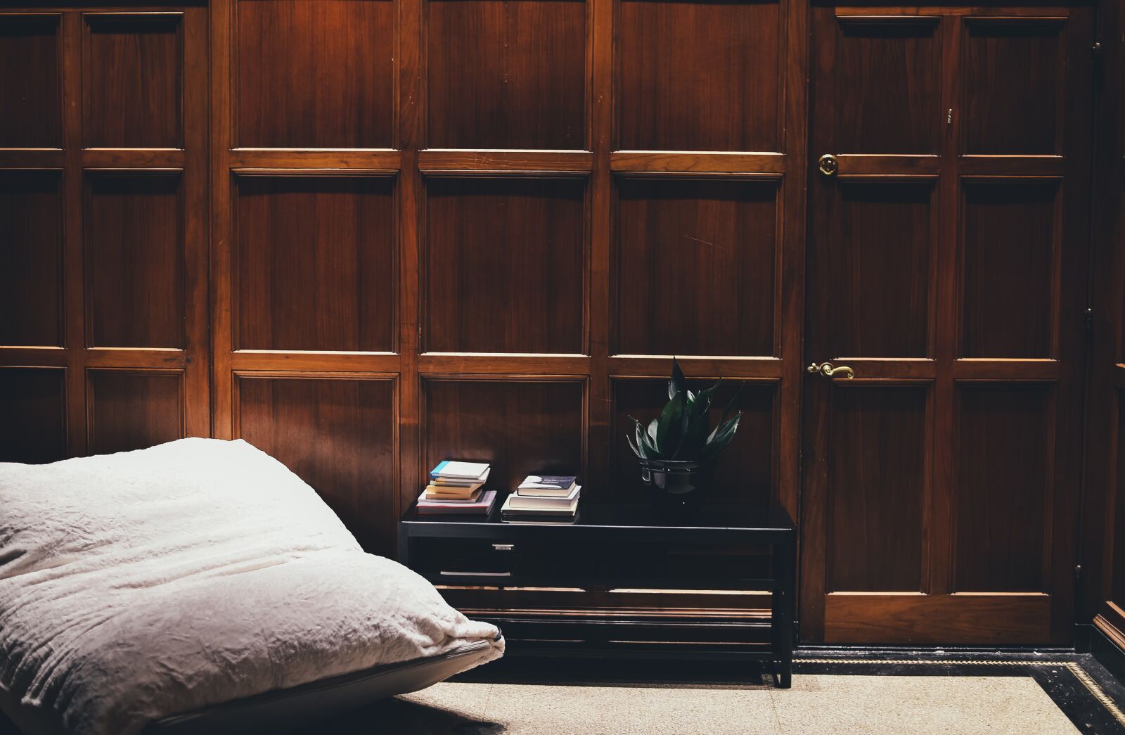Nikon D4S sample photo. Books, door, furniture photography