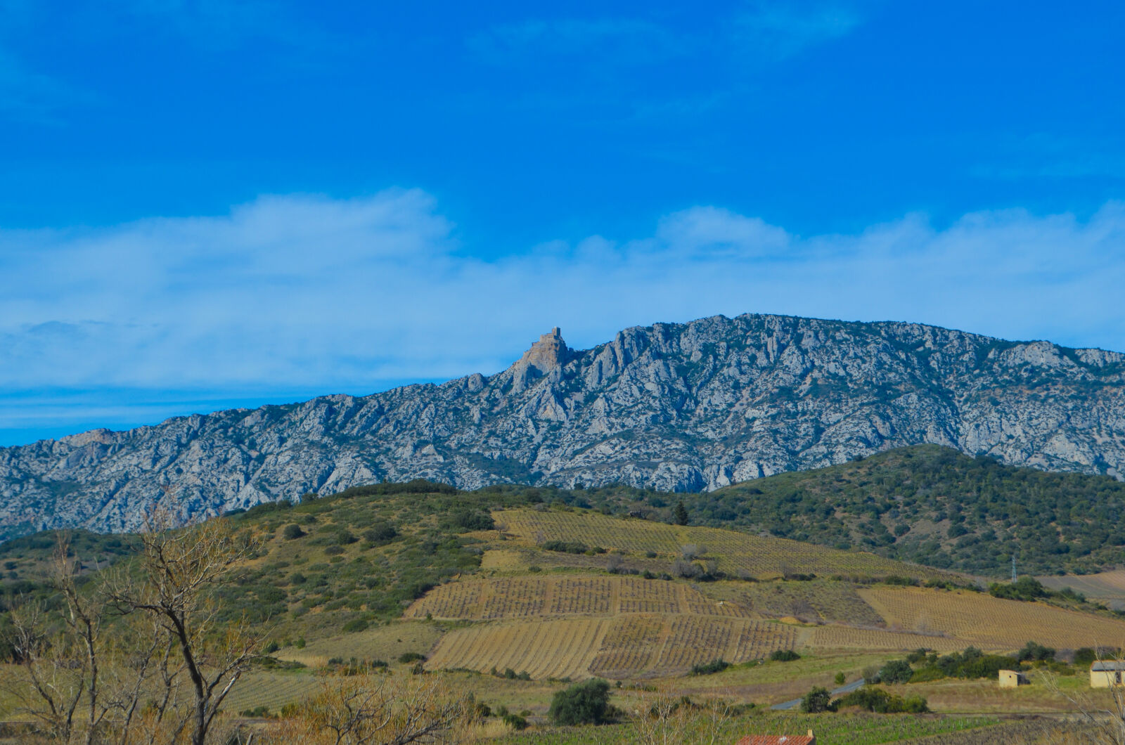 Nikon D5100 sample photo. Blue, sky, castle, field photography