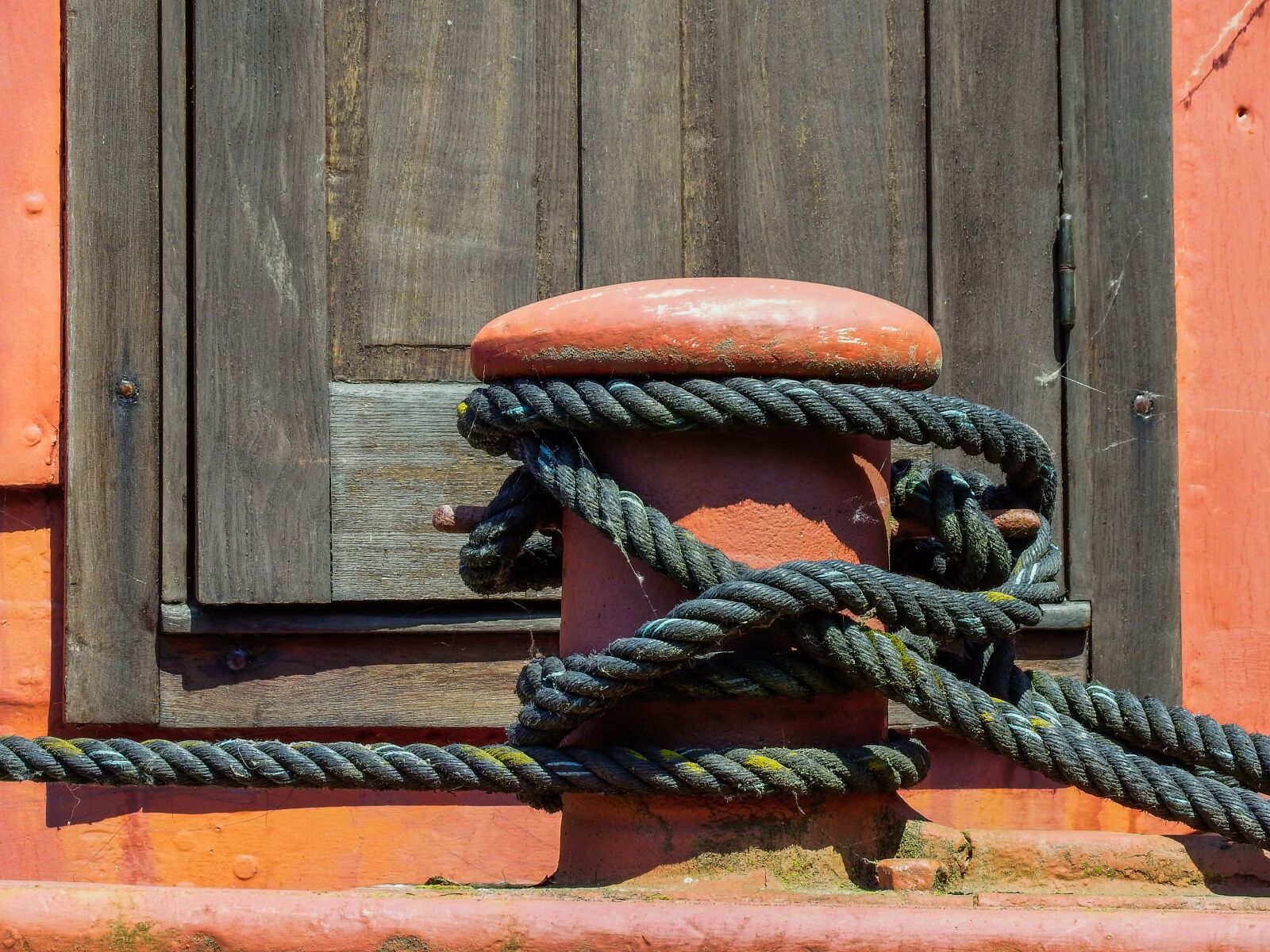 Fujifilm FinePix S1 sample photo. Rope, red, maritime photography