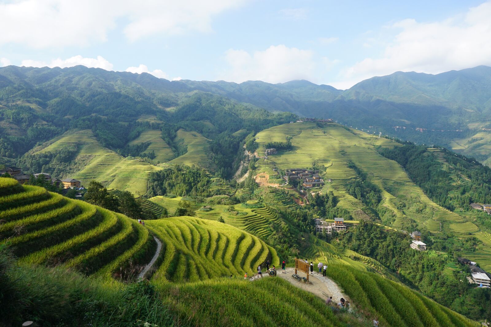 Sony a5100 sample photo. Terraced fields, longji, dragon's photography