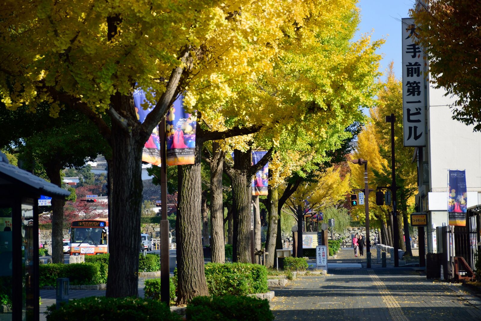 Nikon D5300 sample photo. Autumn, tree, japan photography