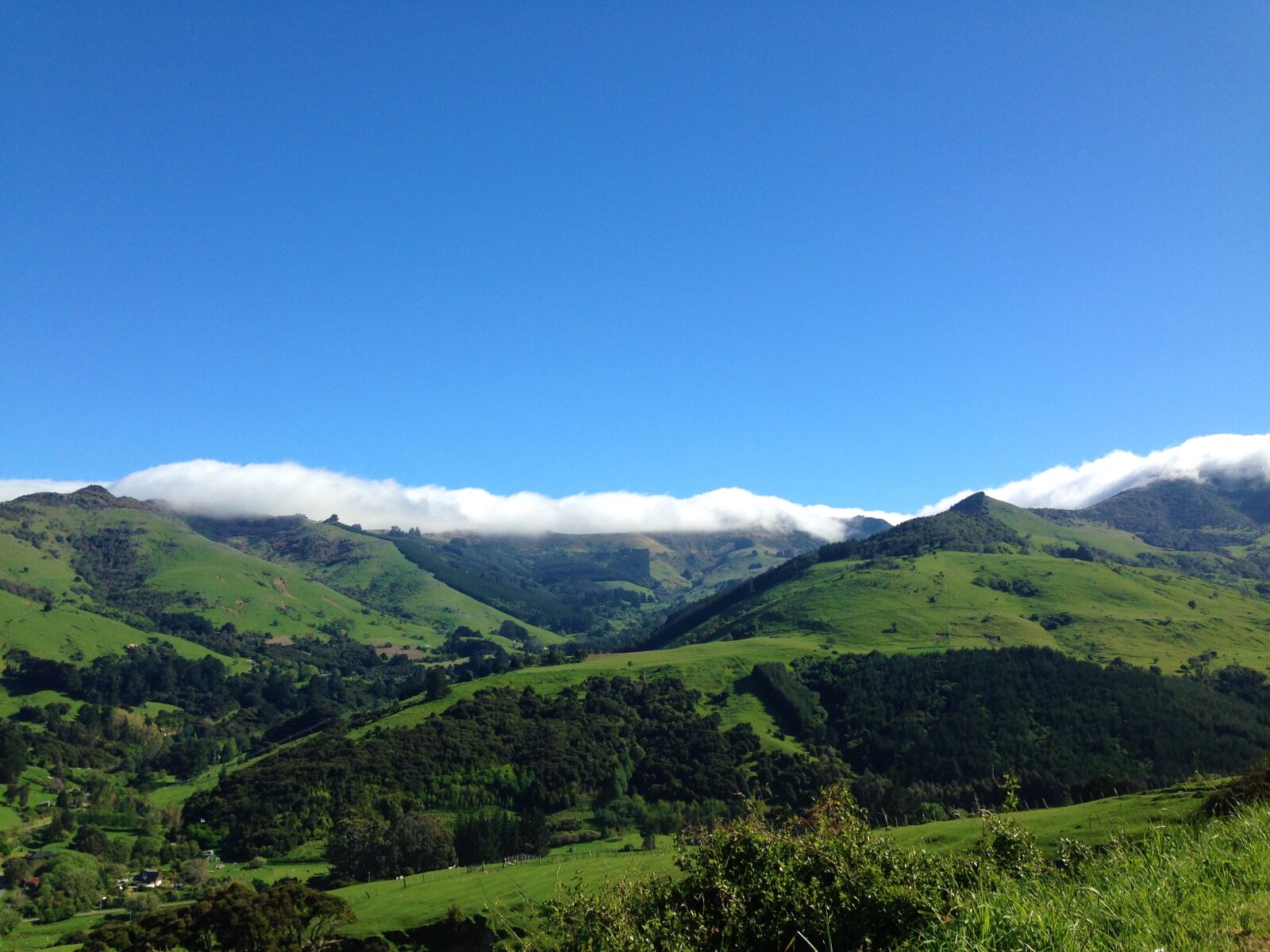iPhone 5 back camera 4.12mm f/2.4 sample photo. Bluesky, clearsky, greenmountain, mountains photography