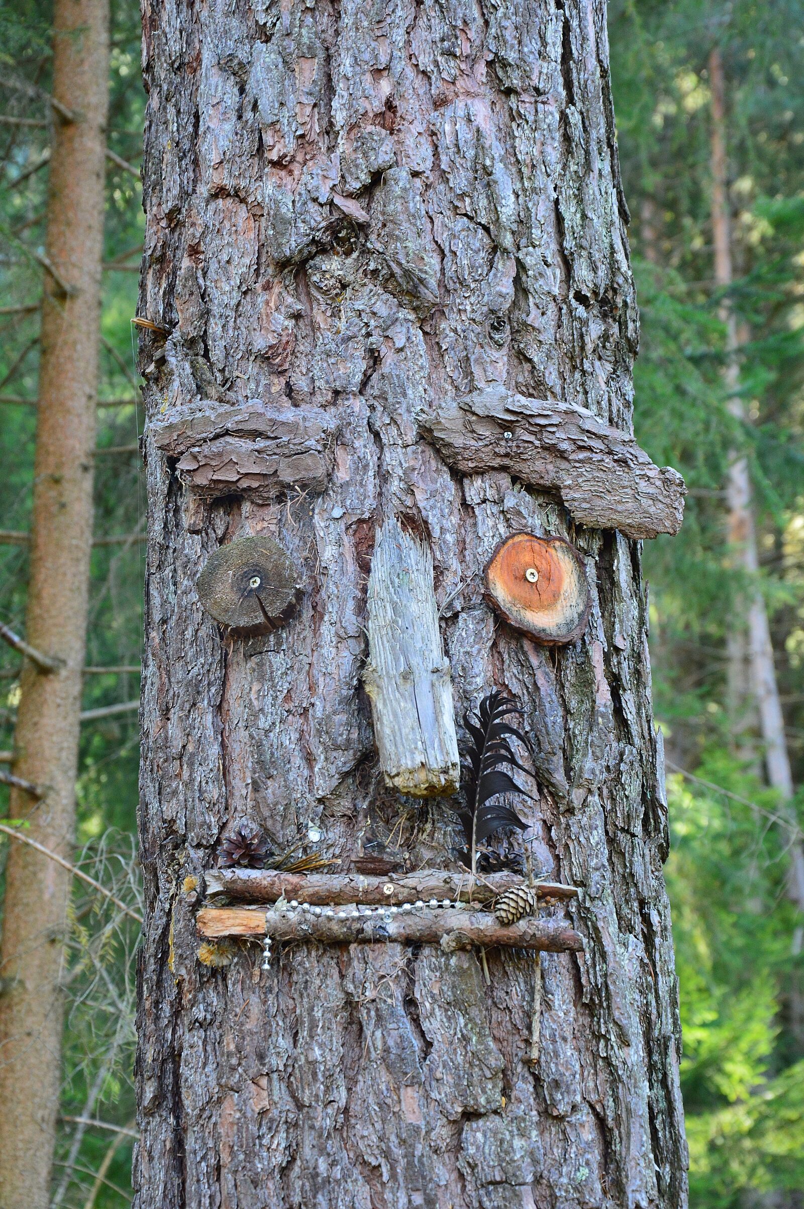 Nikon D3200 sample photo. Wish tree, tyrol, austria photography