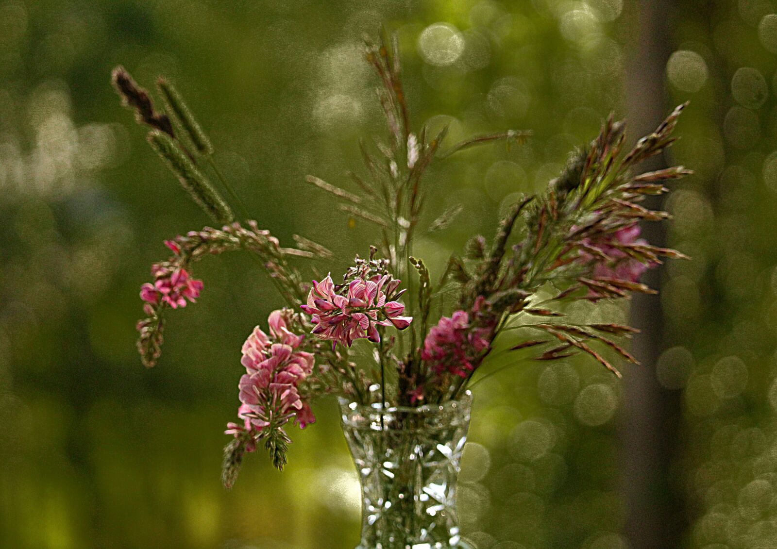 Canon EOS 1200D (EOS Rebel T5 / EOS Kiss X70 / EOS Hi) sample photo. Flower, herbs, meadow photography