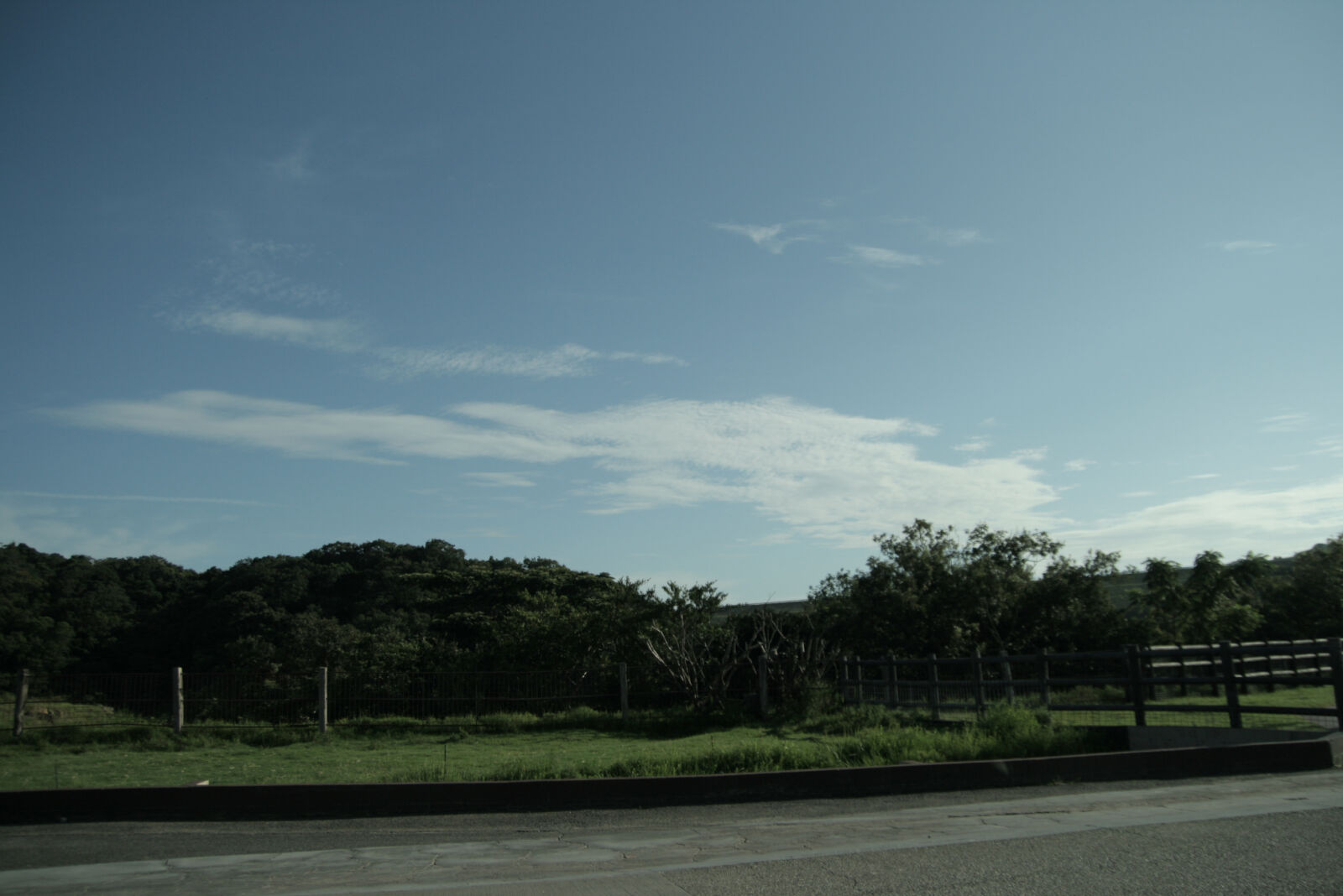 Canon EOS 400D (EOS Digital Rebel XTi / EOS Kiss Digital X) sample photo. Blue, forest, green, sky photography