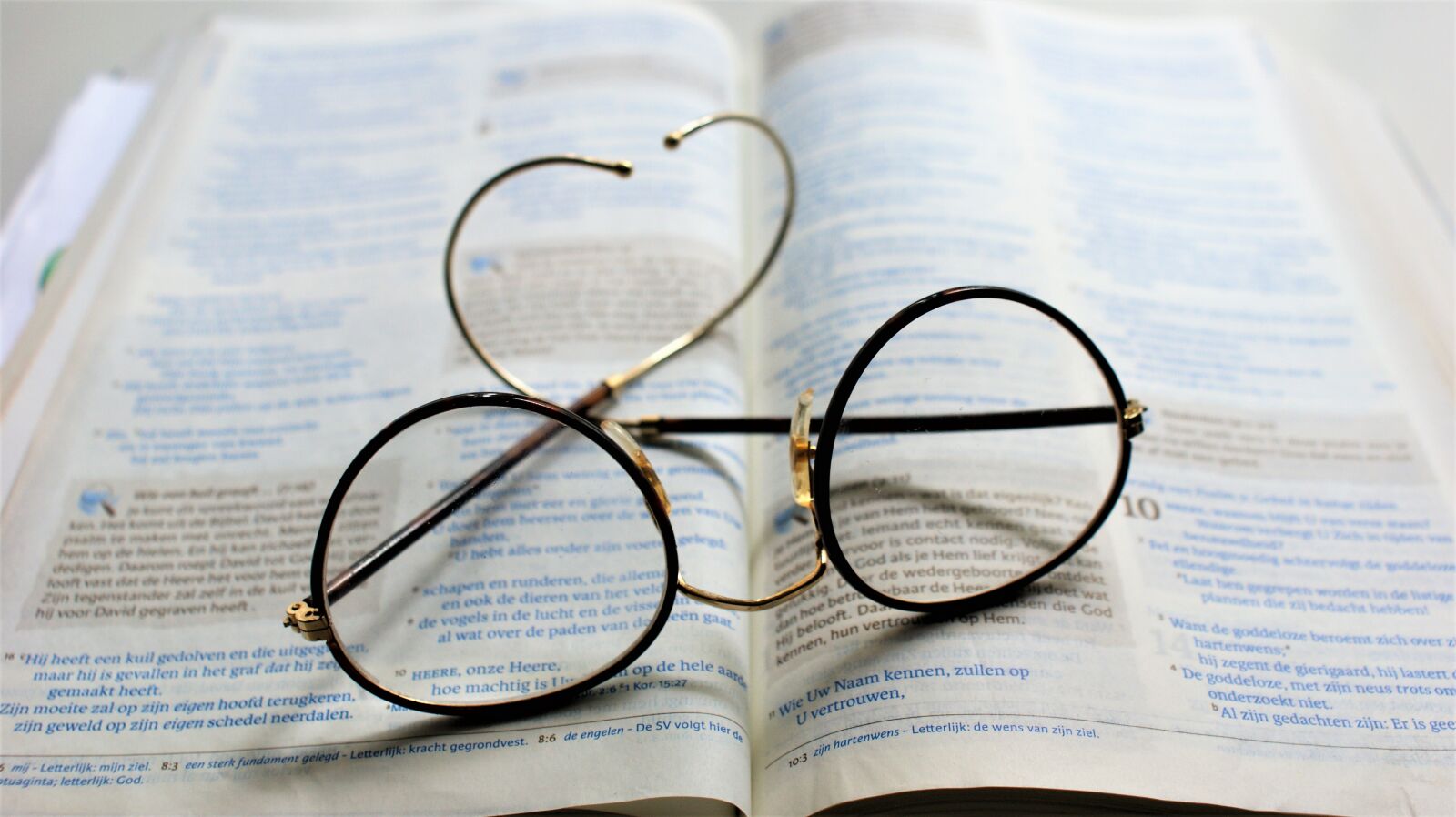 Sony Alpha DSLR-A350 sample photo. Glasses, study, book photography