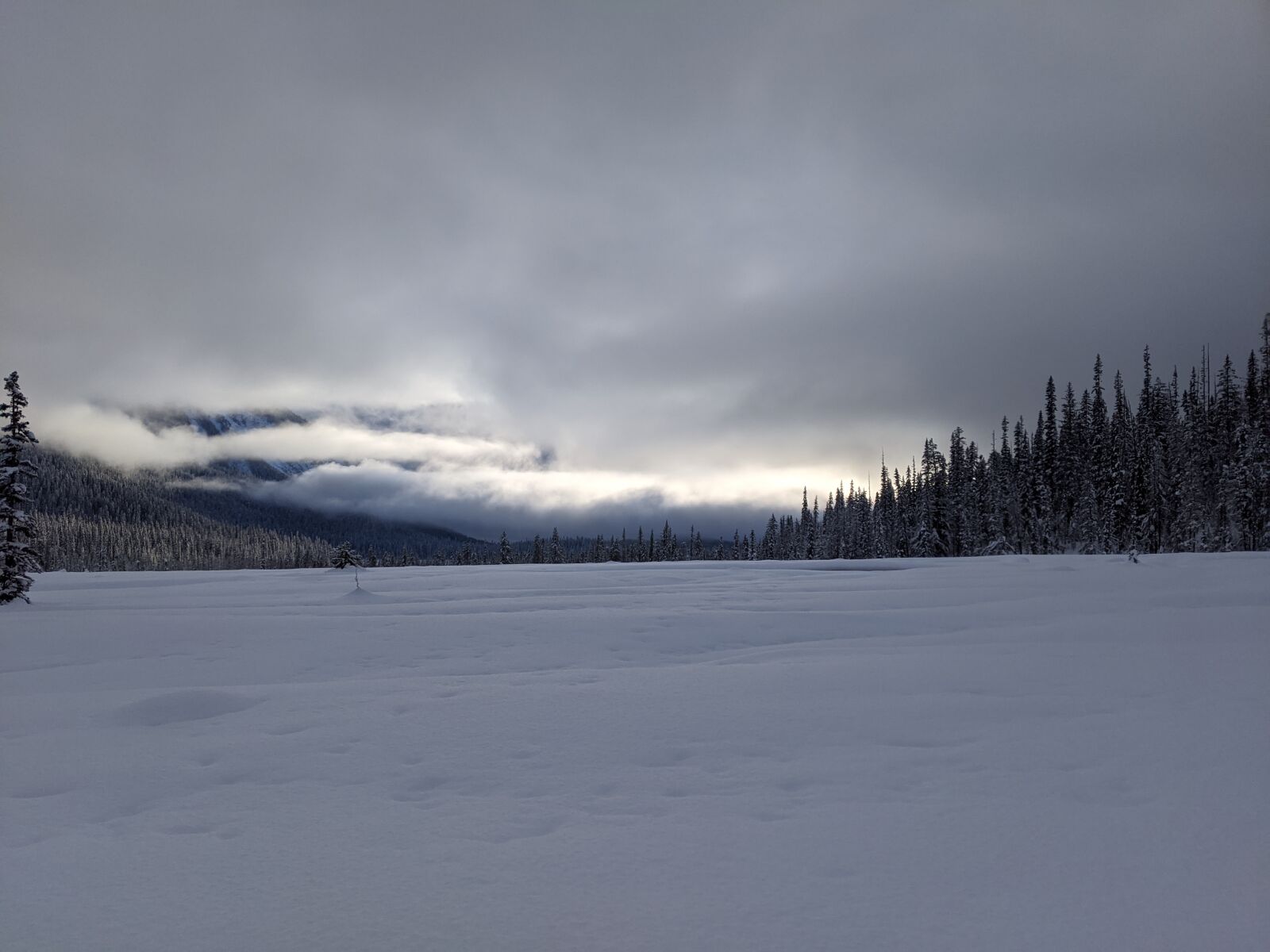 Google Pixel 3 sample photo. Emerald lake, british columbia photography