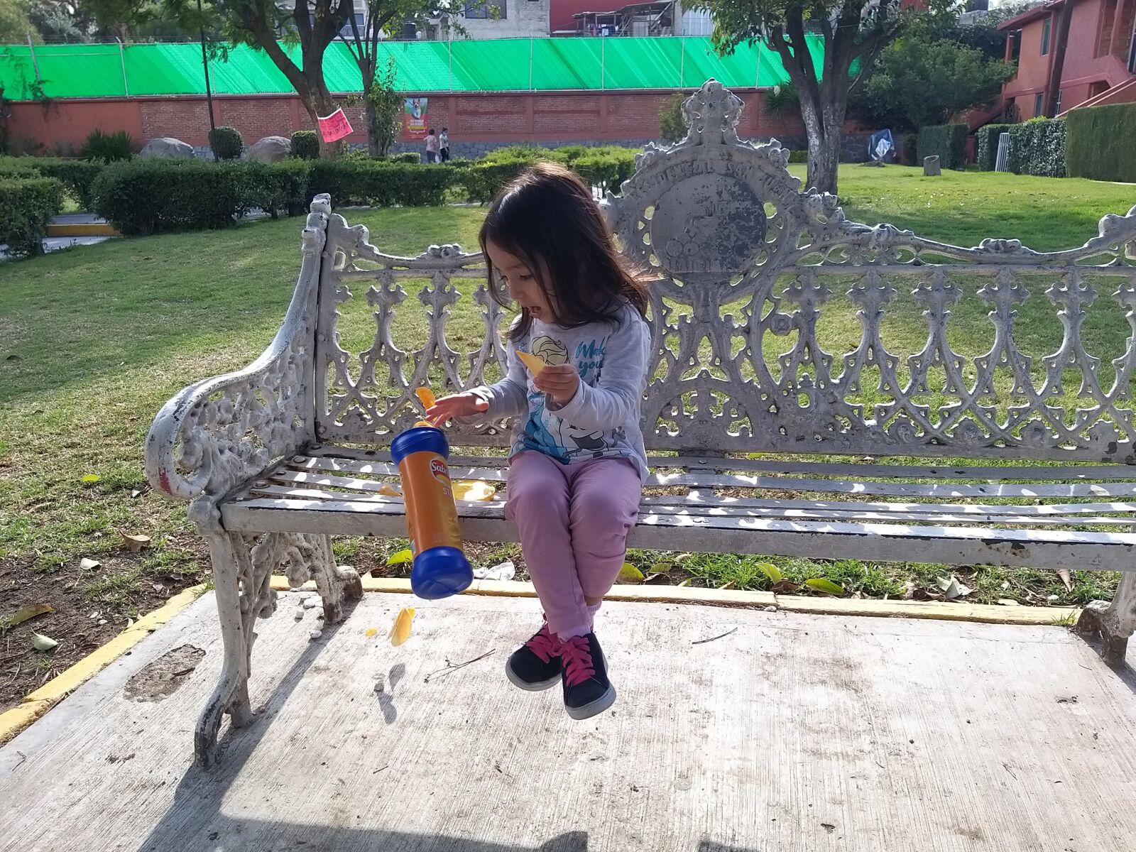 Samsung Galaxy A9 (2018) sample photo. Potatos, fall, park photography