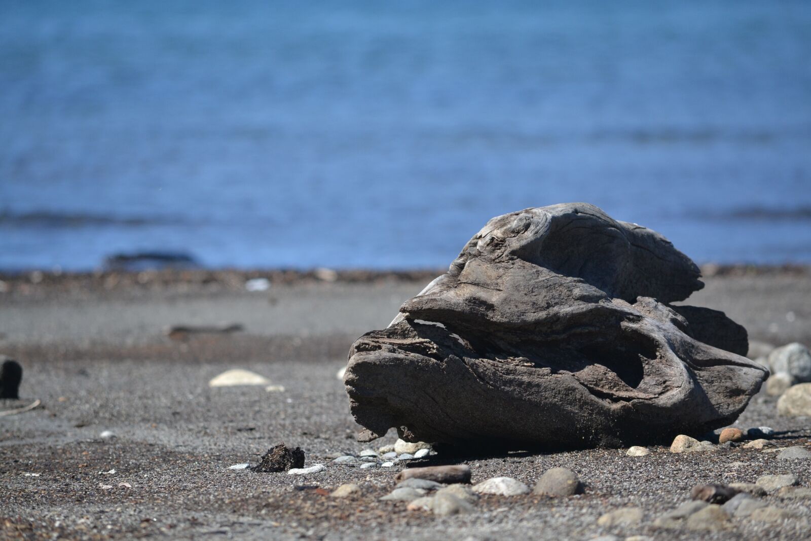Nikon D3100 sample photo. Lake, south, landscape photography