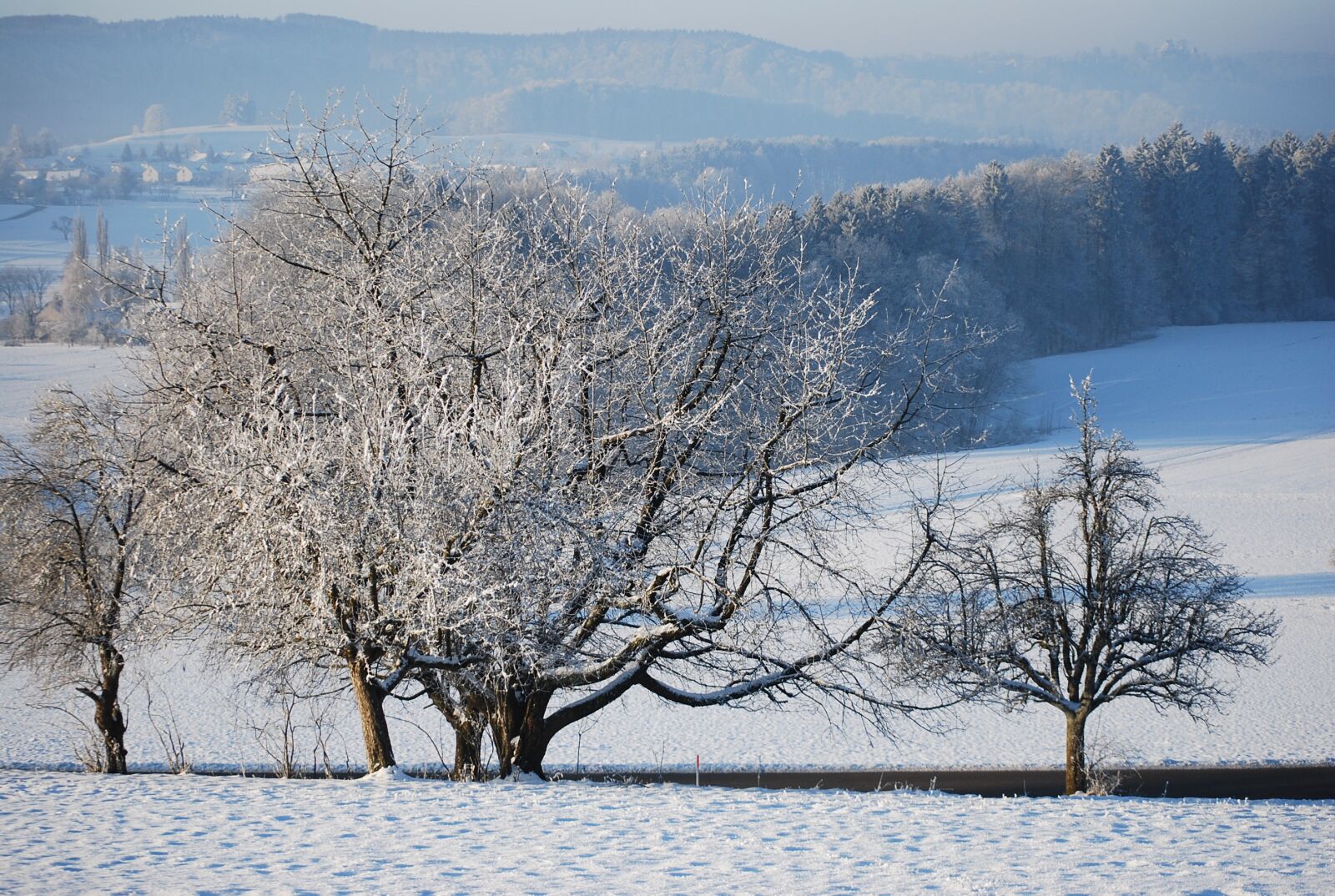 Nikon D40X sample photo. Winter, snow, wintry photography
