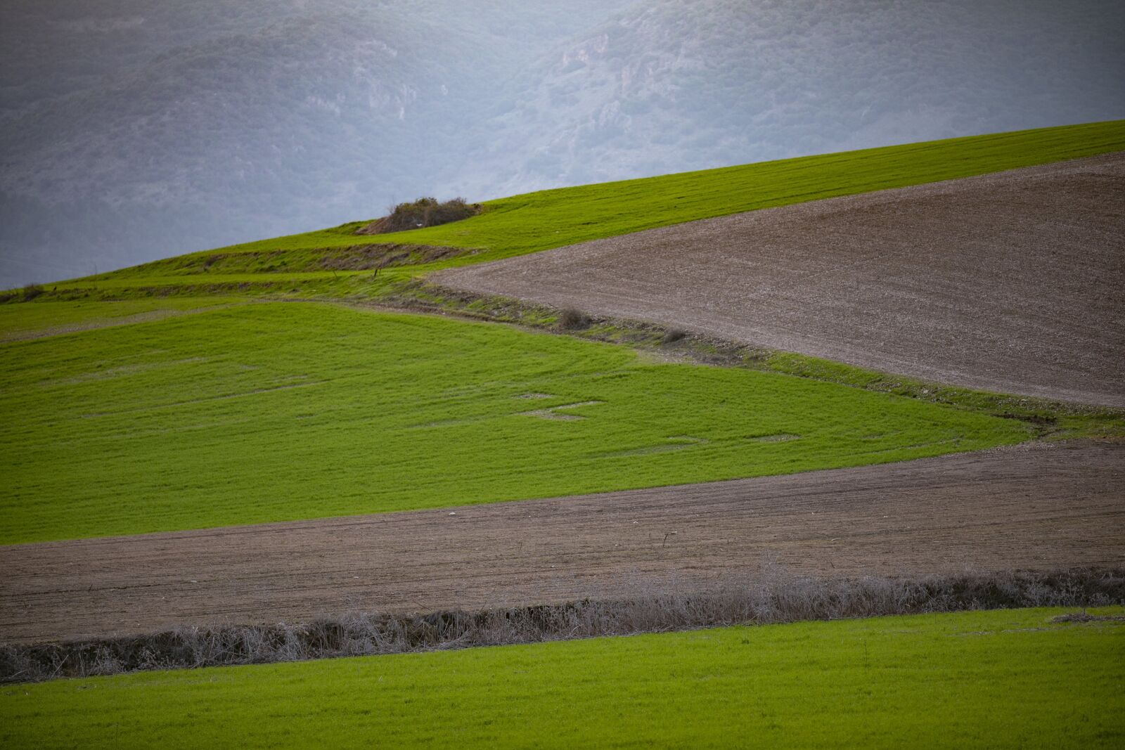 Tamron SP 70-200mm F2.8 Di VC USD G2 sample photo. Landscape, countryside, field photography