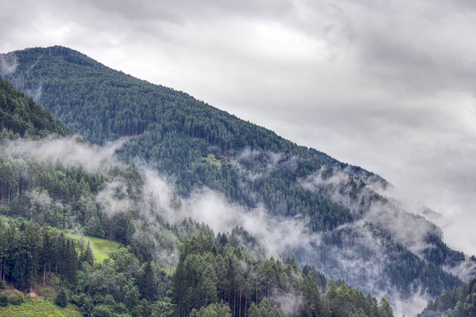 Canon EOS 600D (Rebel EOS T3i / EOS Kiss X5) sample photo. Forest, fog, mountain photography