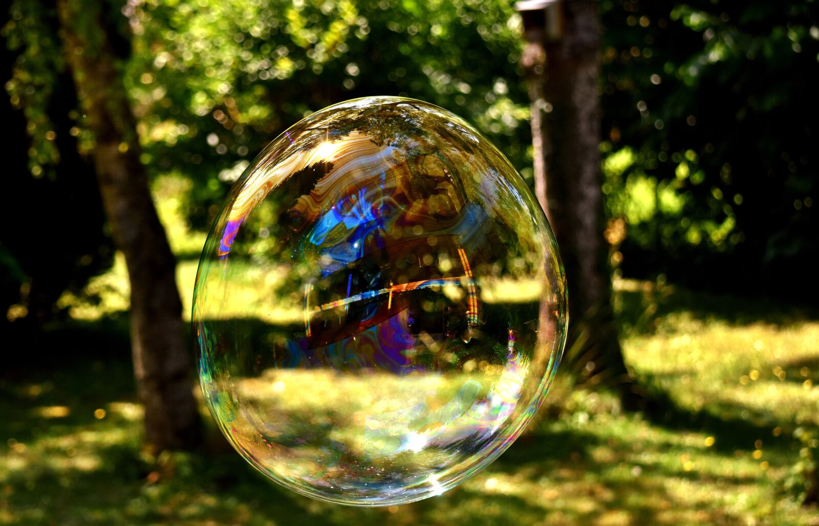 Nikon D7200 sample photo. Soap bubble, huge, large photography
