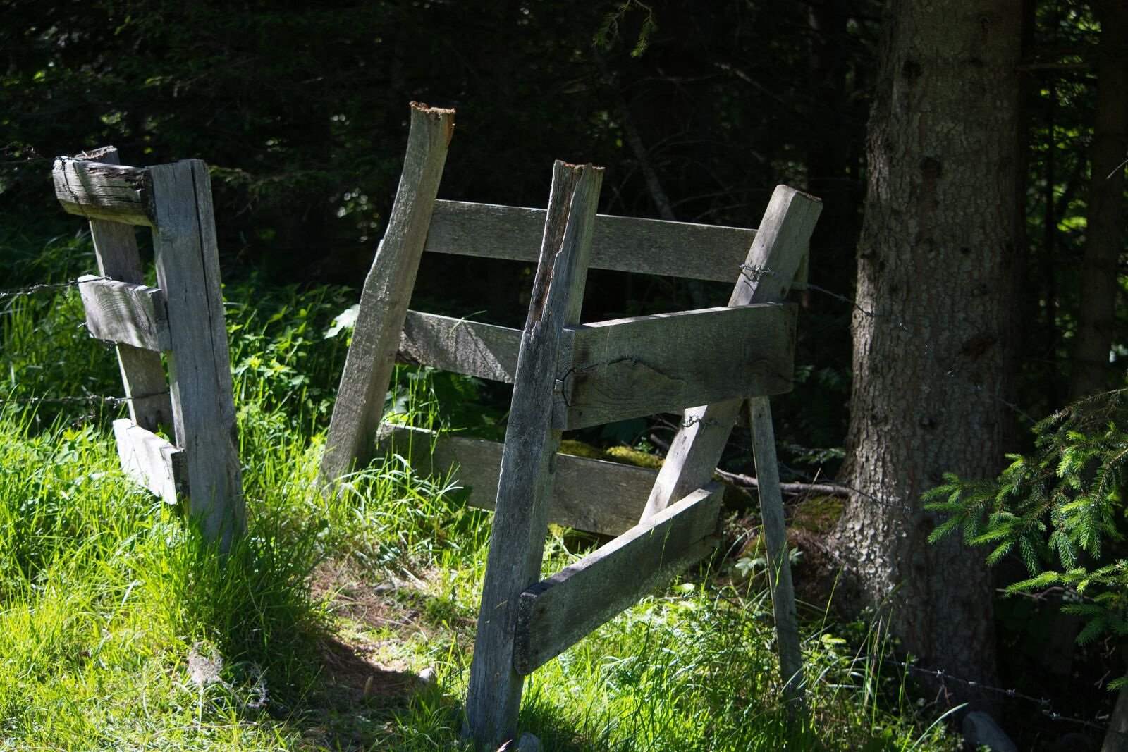 Nikon D7100 sample photo. Wood fence, fence, passage photography
