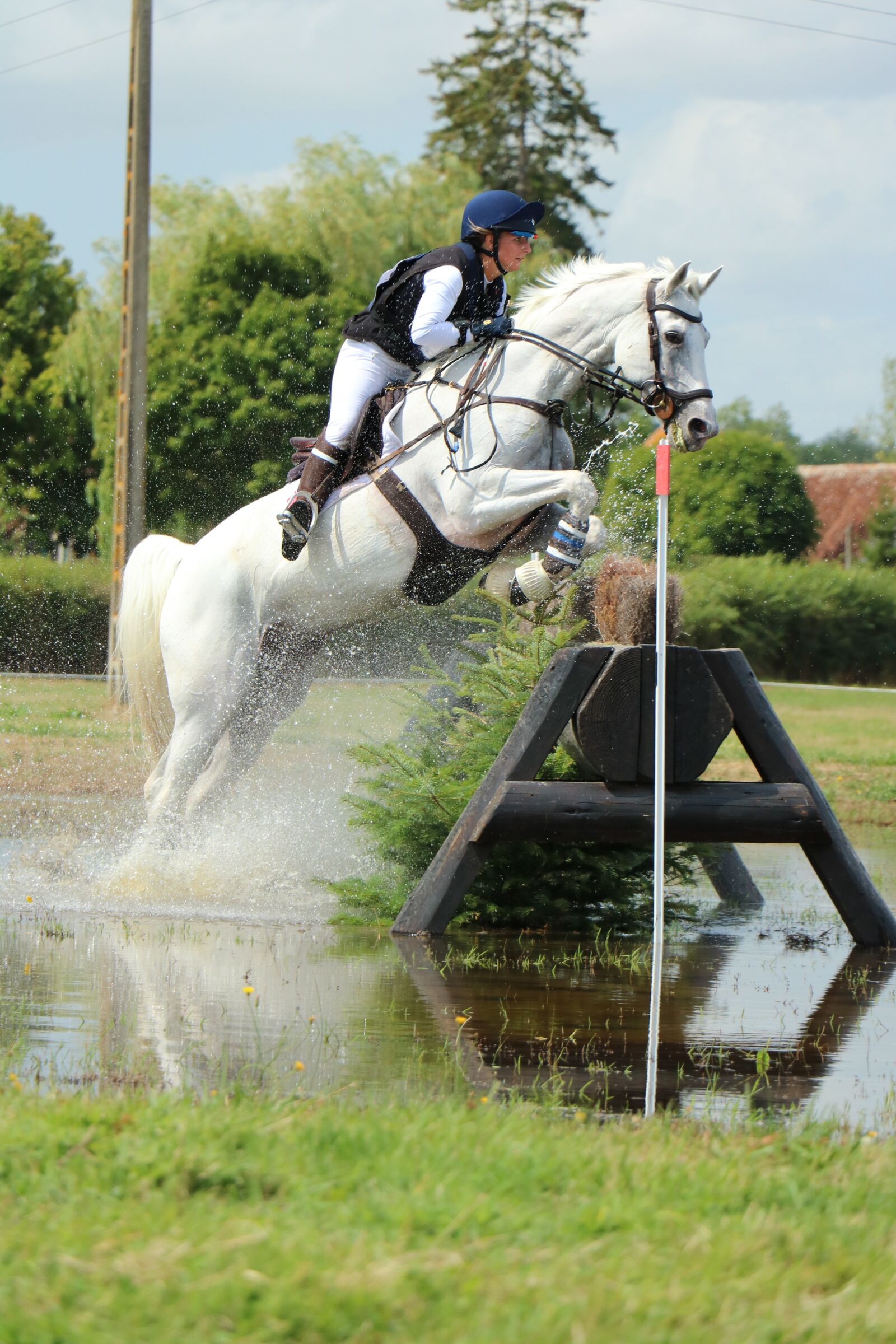 Canon EOS 750D (EOS Rebel T6i / EOS Kiss X8i) sample photo. Haras du pin, national photography
