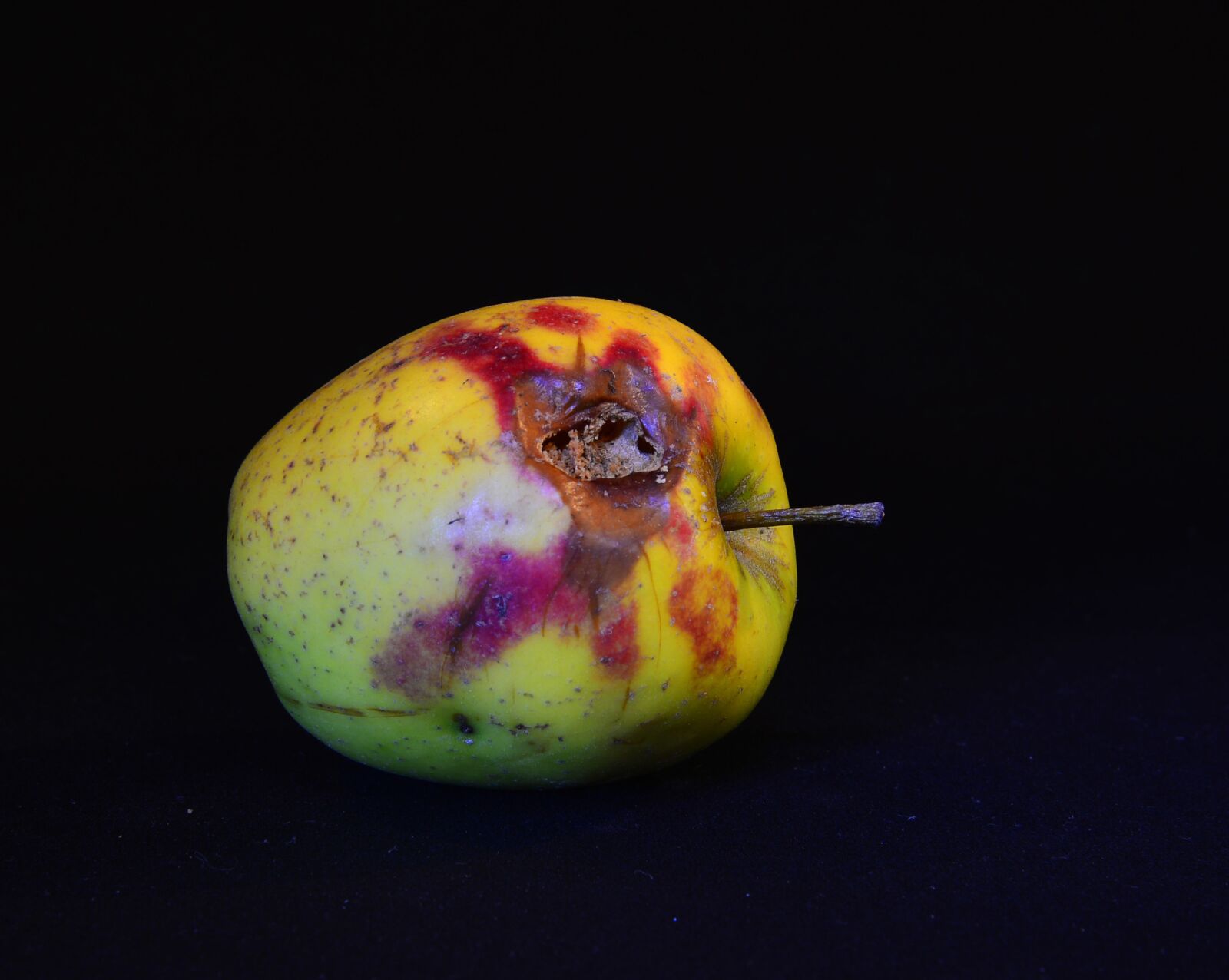 Nikon D610 sample photo. Apple, fruit, rotten photography