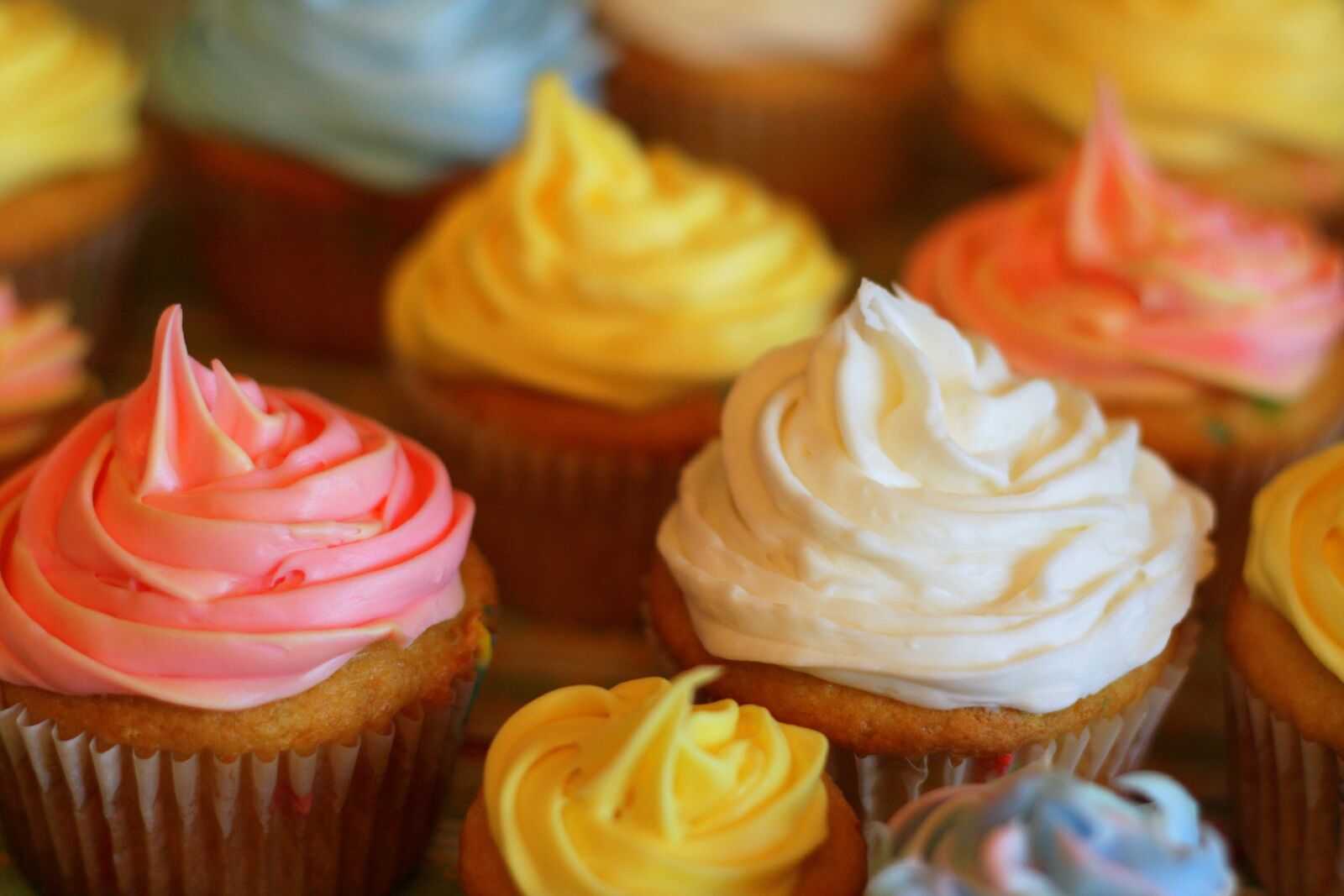 Canon EOS 40D sample photo. Cupcake, colorful, pastel photography
