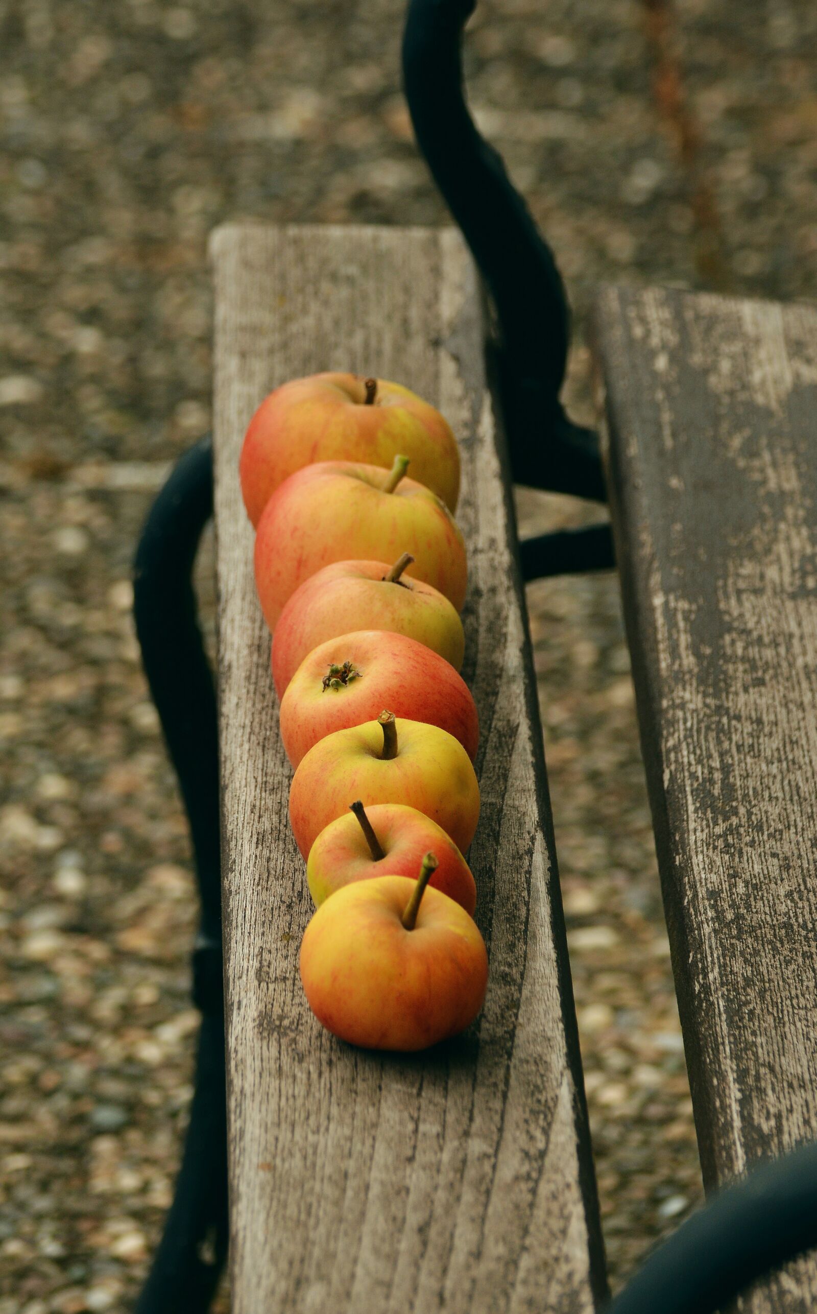 Nikon D5200 sample photo. Apple, goldparmäne, fruit photography
