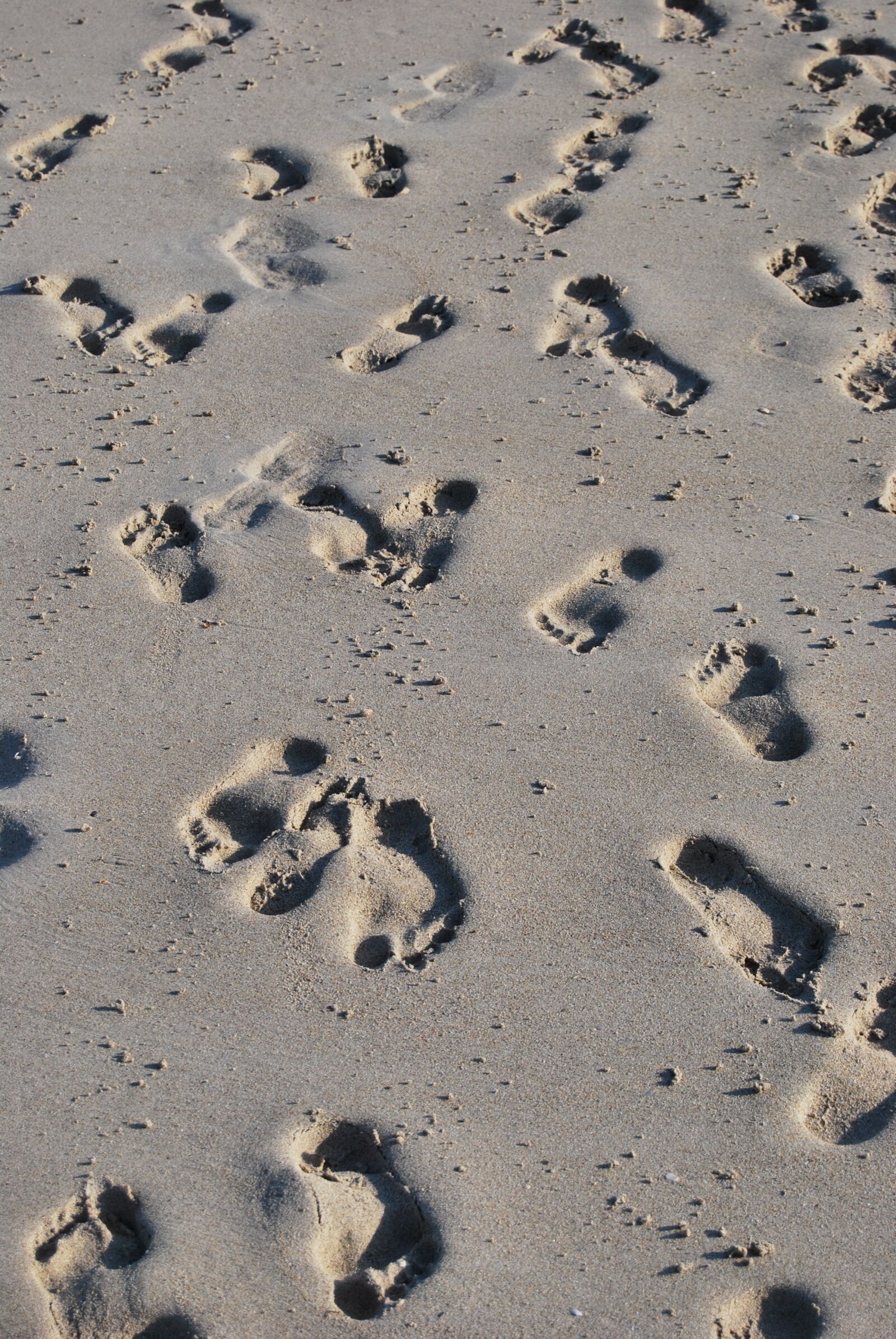 Nikon D60 sample photo. Treads, beach, sand photography