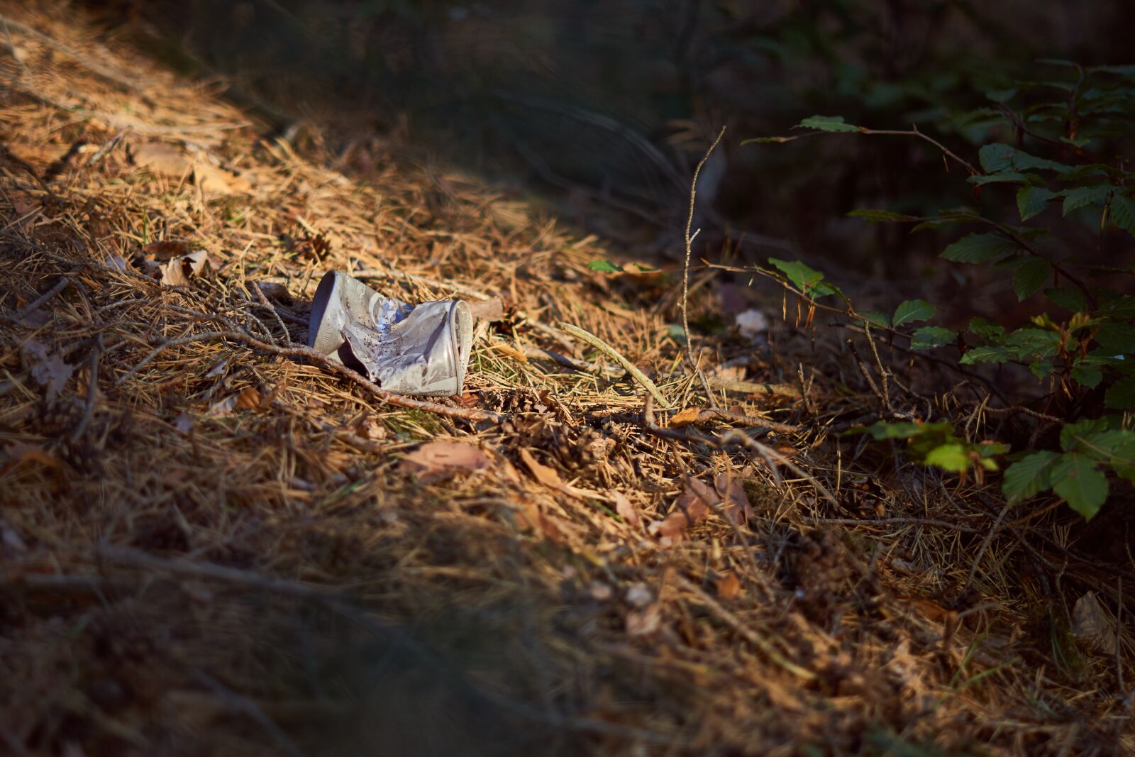 Sony a6000 + Sony FE 50mm F1.8 sample photo. Pollution, box, garbage photography