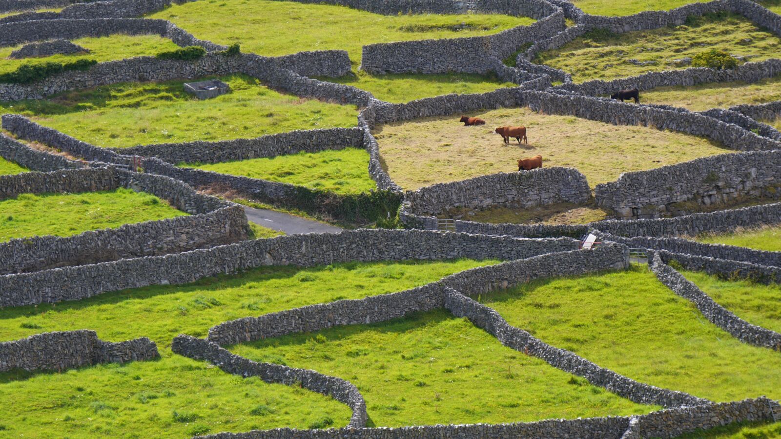 Panasonic Lumix DMC-GH3 sample photo. Ireland, stone wall, green photography