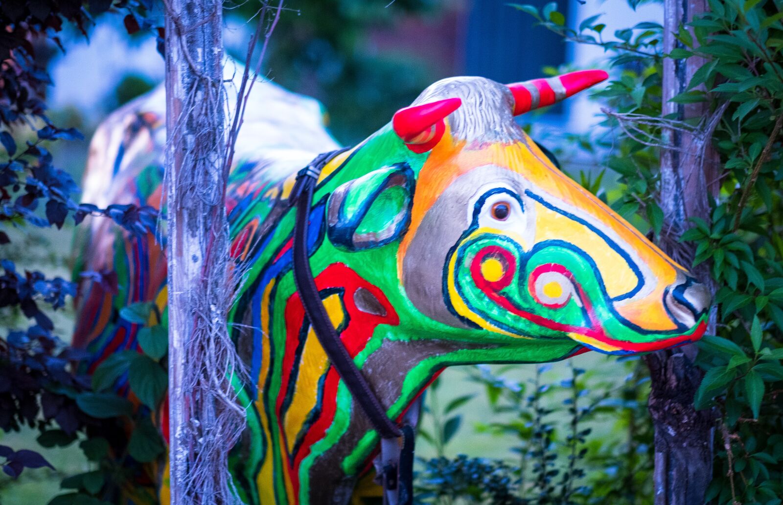 Fujifilm X-T2 + Fujifilm XF 56mm F1.2 R sample photo. Cow, colorful, painted photography