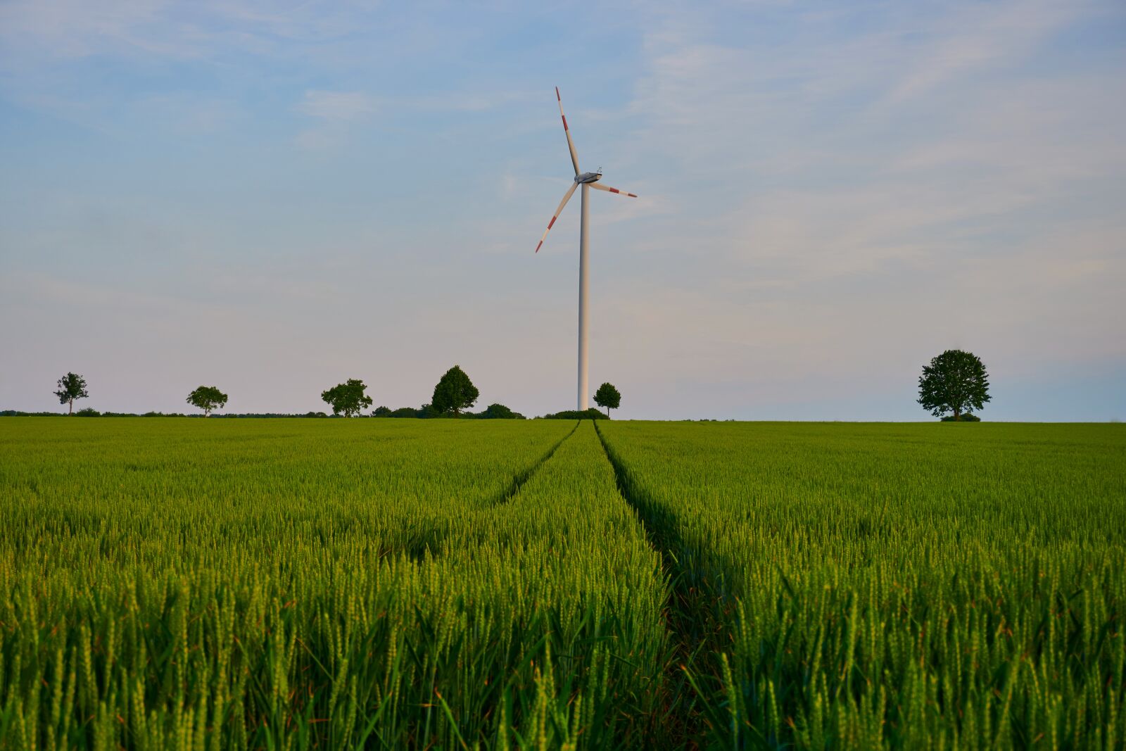 Sony a6400 sample photo. Pinwheel, wind energy, energy photography