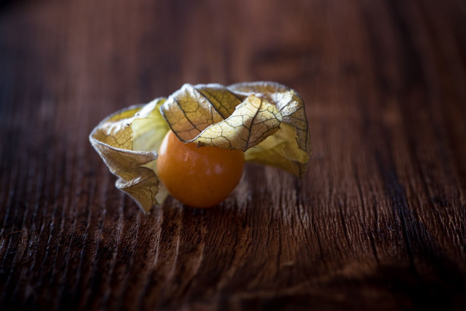 Nikon D750 sample photo. Physalis, physalis peruviana, cape photography