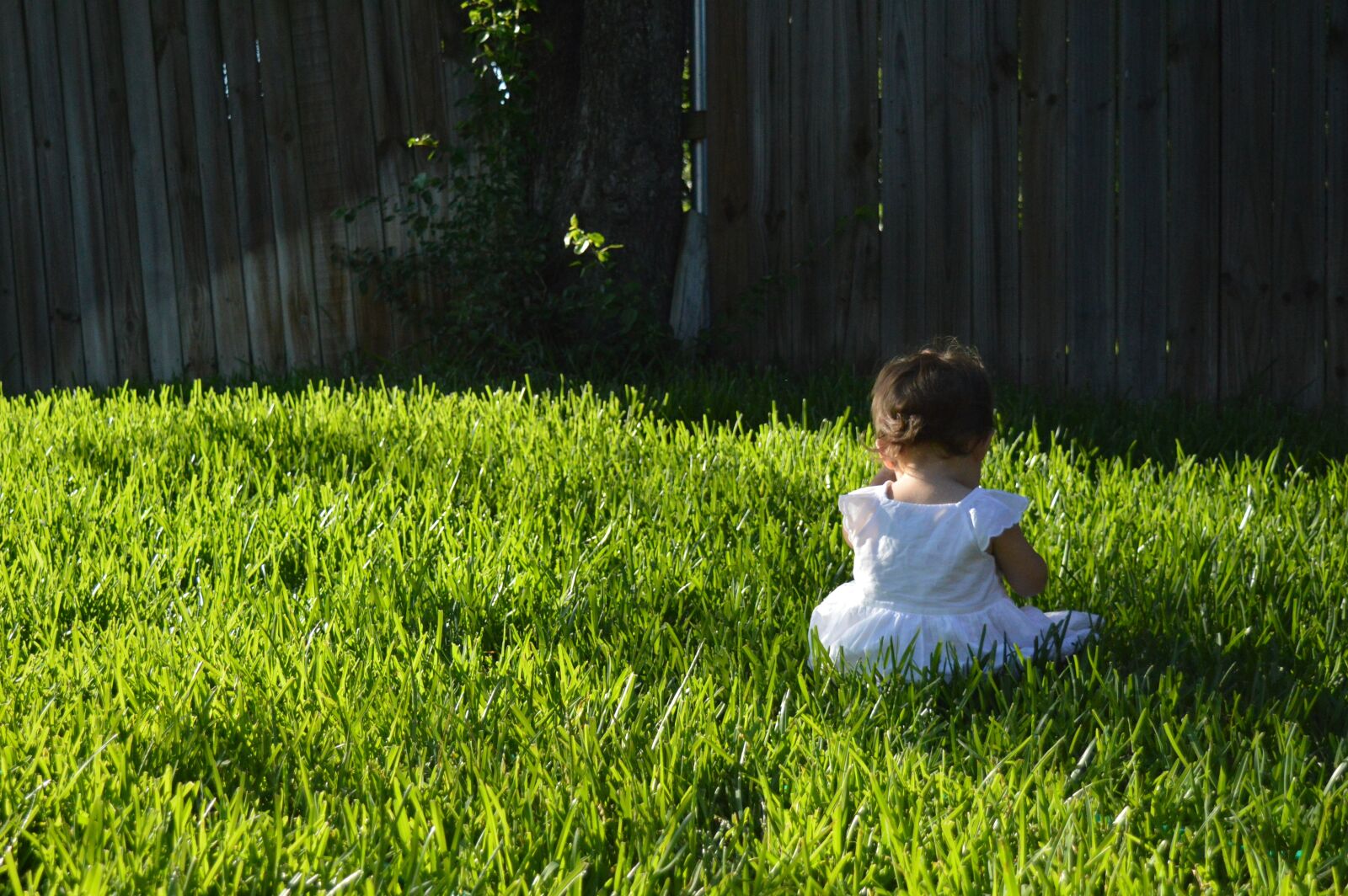Nikon D3200 sample photo. Baby, girl, white photography