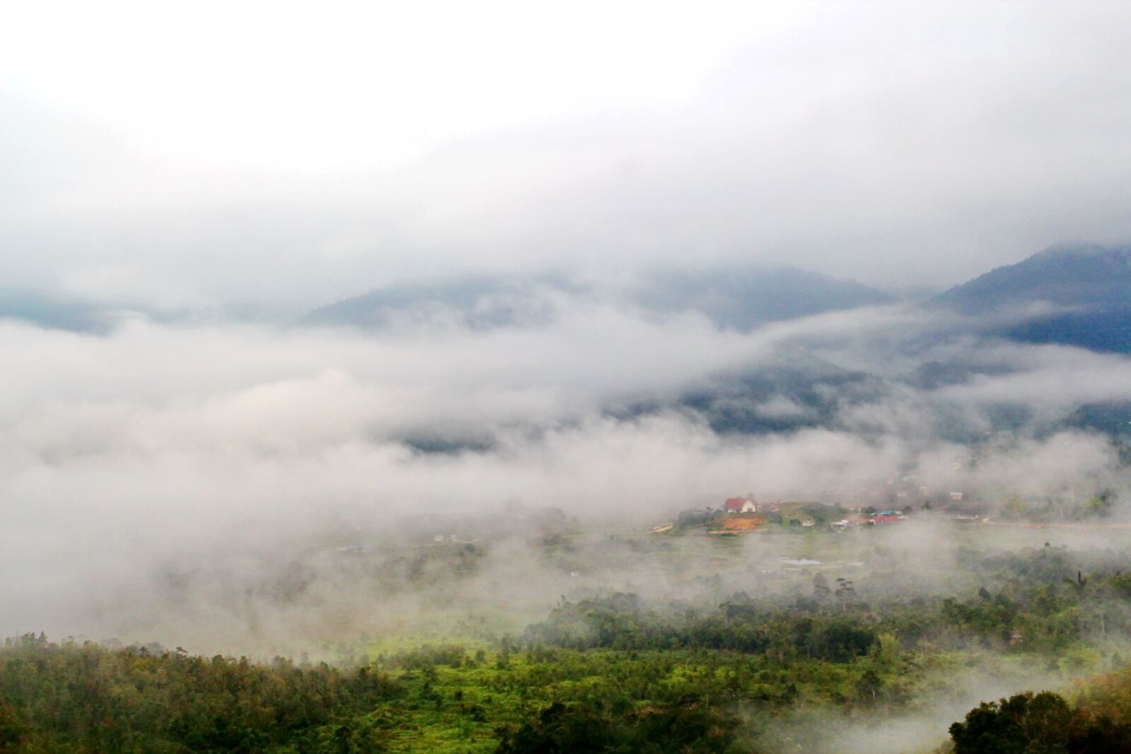 Canon EOS 550D (EOS Rebel T2i / EOS Kiss X4) sample photo. Bario, sarawak, borneo photography