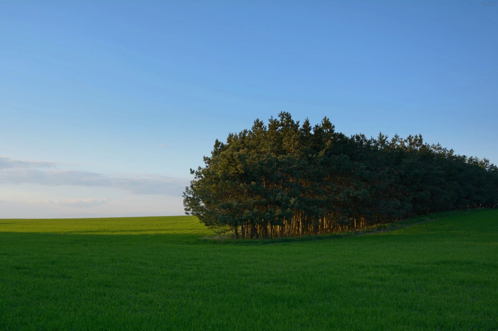 Nikon D5200 sample photo. Earth, landscape, tree photography
