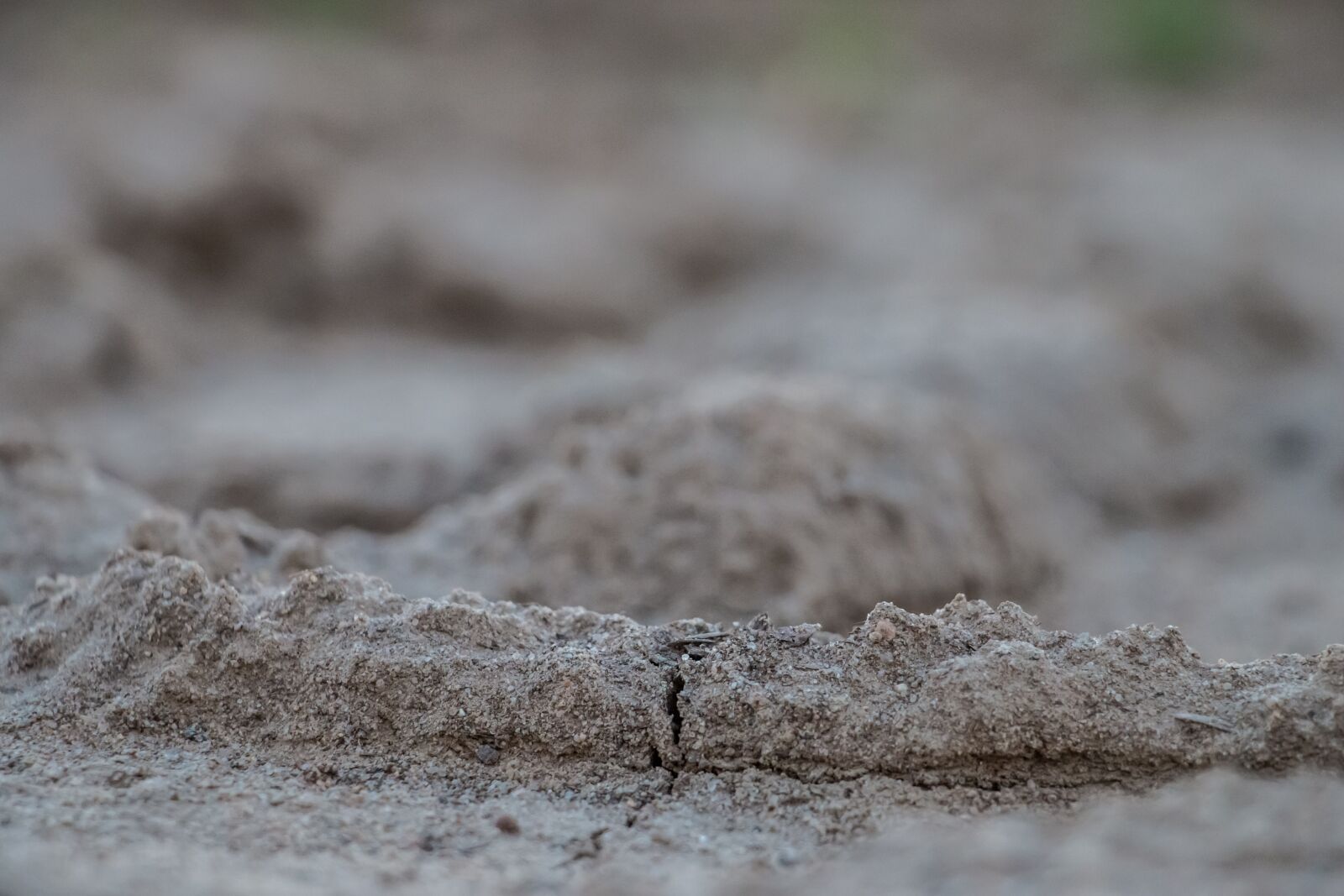 Canon EOS 70D sample photo. Earth, ground, cracked photography