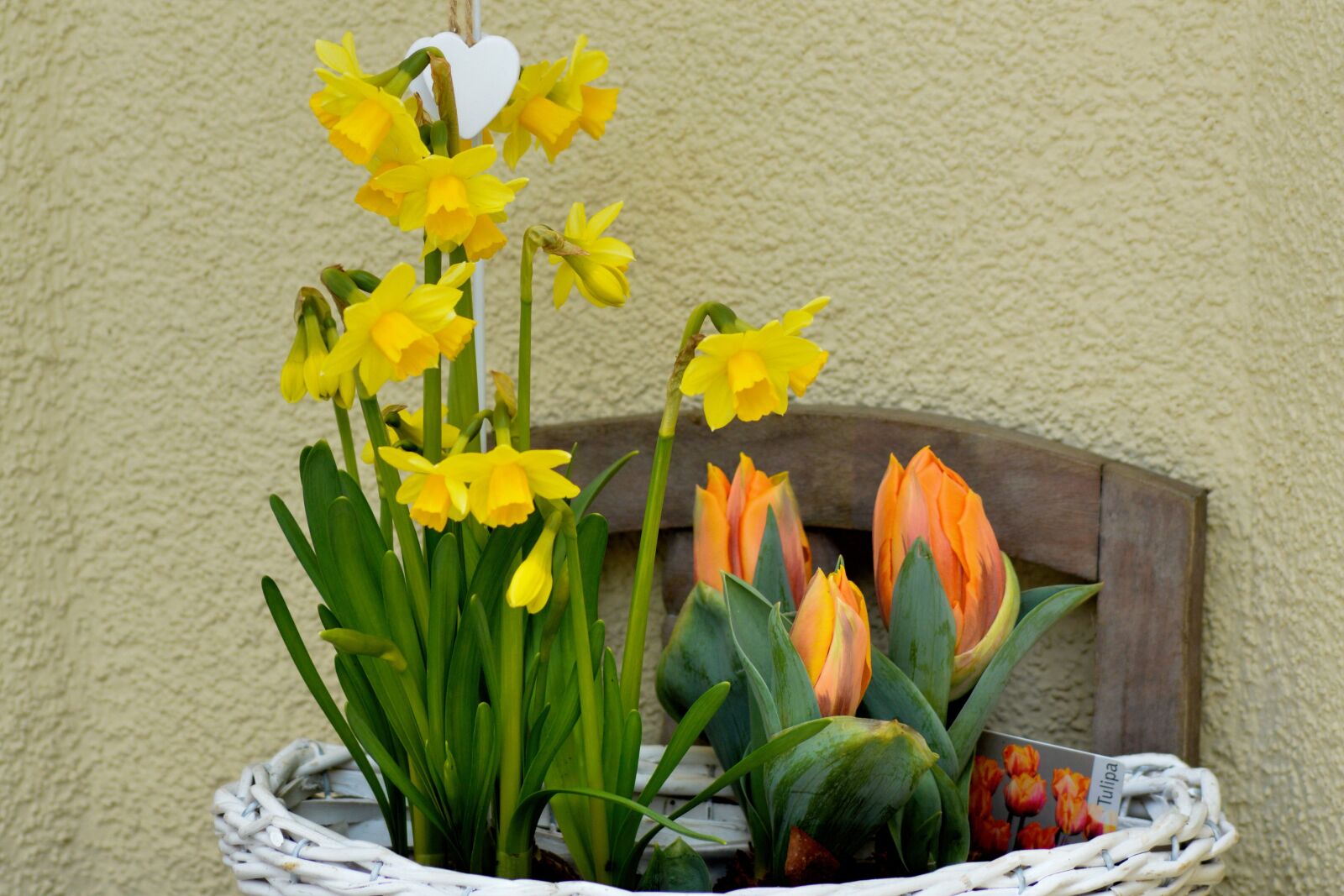 Nikon D3200 sample photo. Osterkorb, tulips, daffodils photography