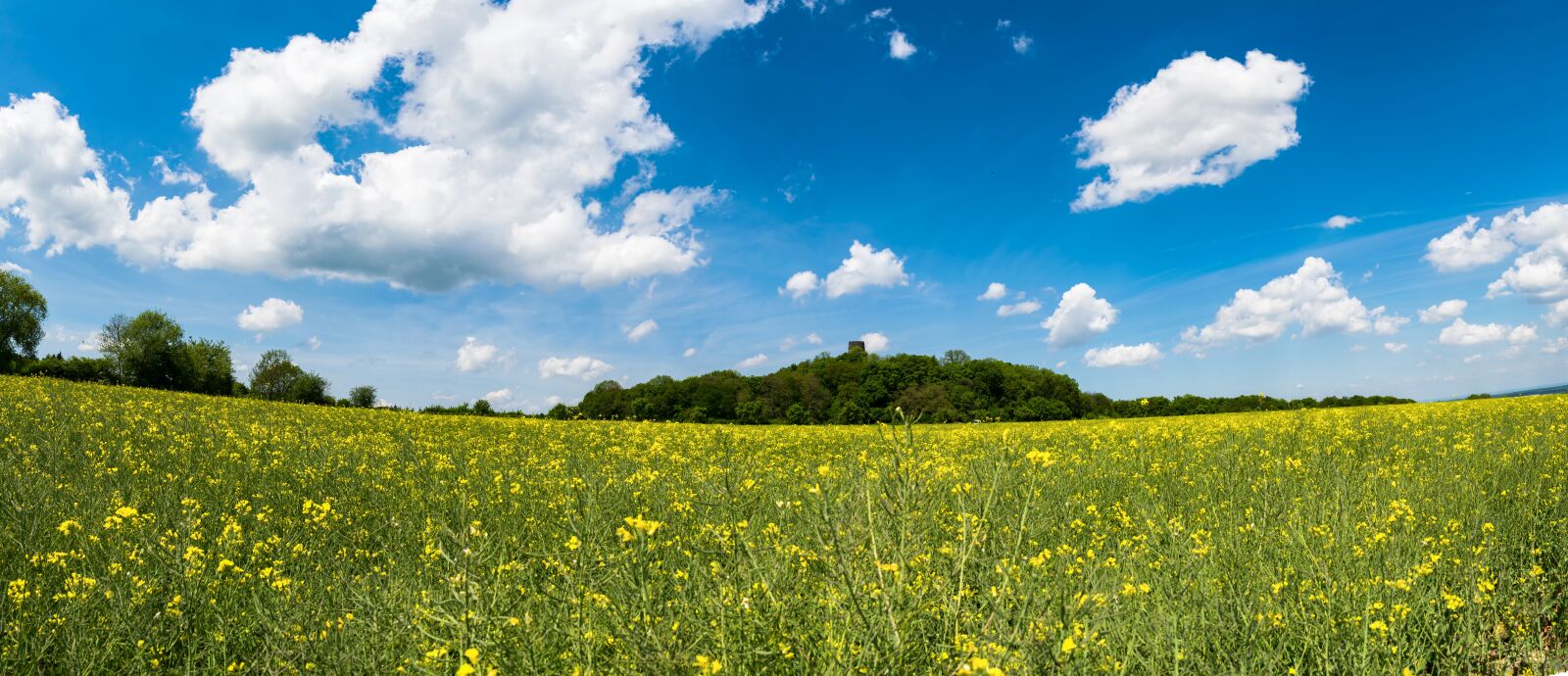 Nikon D5300 sample photo. Panorama, sky, clouds photography