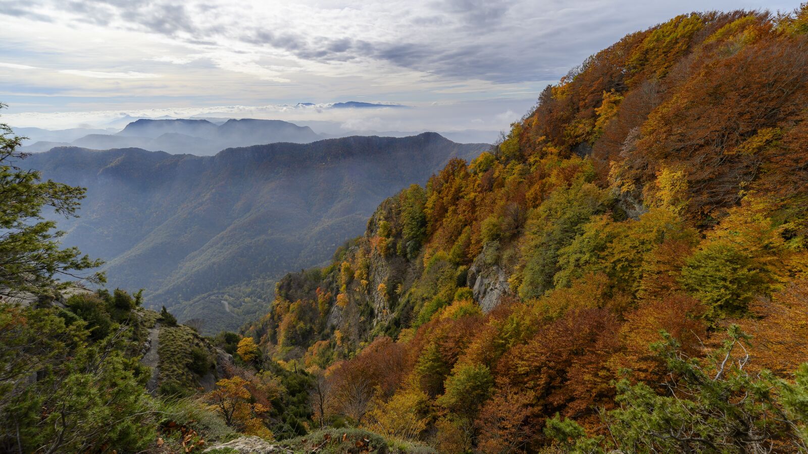 Nikon Z6 sample photo. Nature, autumn, landscape photography