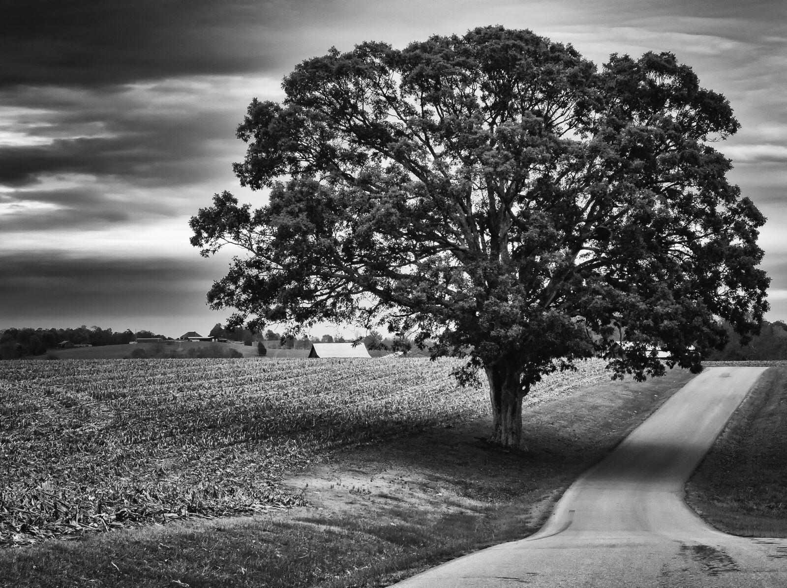 Fujifilm X10 sample photo. Monochrome, black and white photography