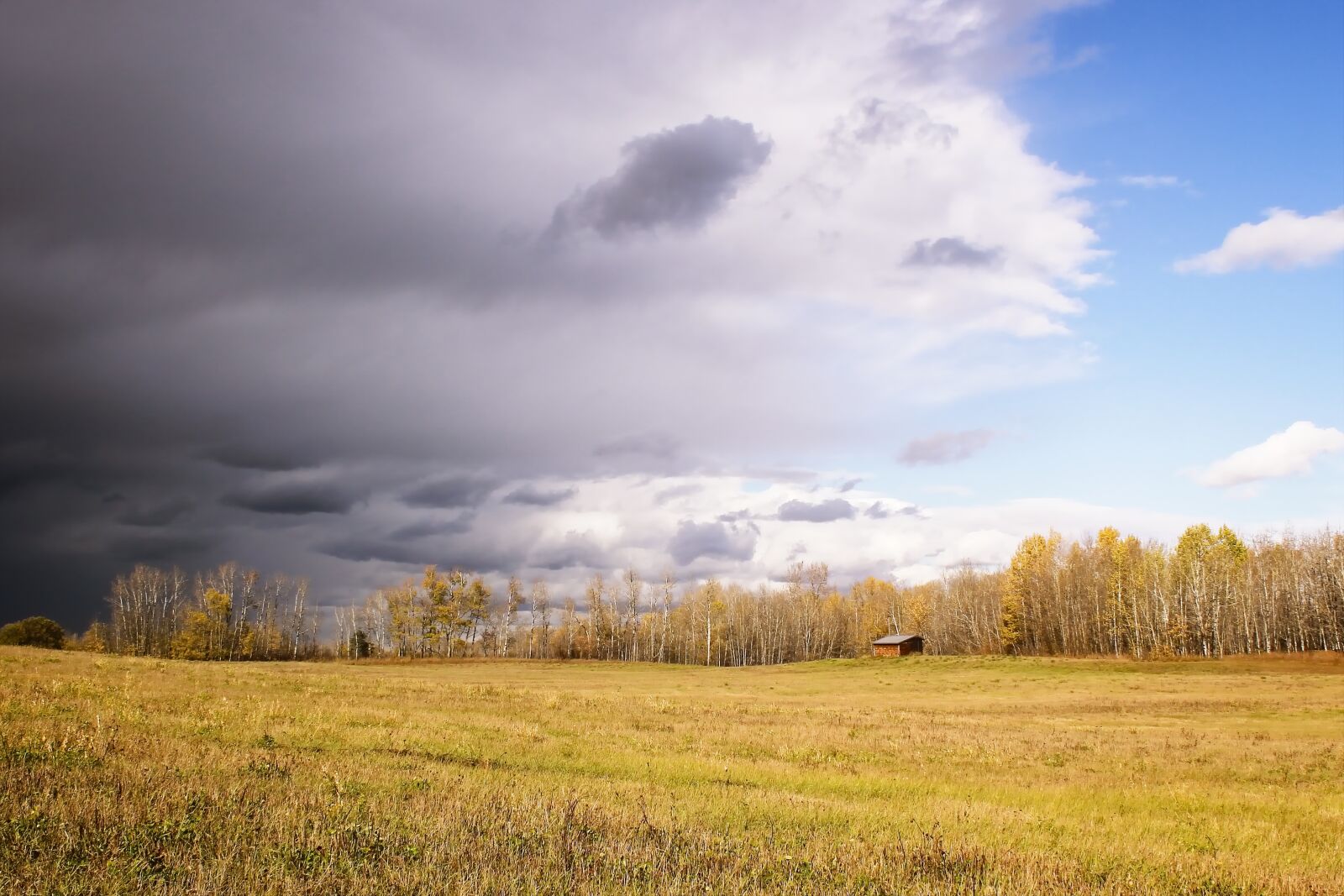 Canon EOS 550D (EOS Rebel T2i / EOS Kiss X4) sample photo. Storm, field, sky photography