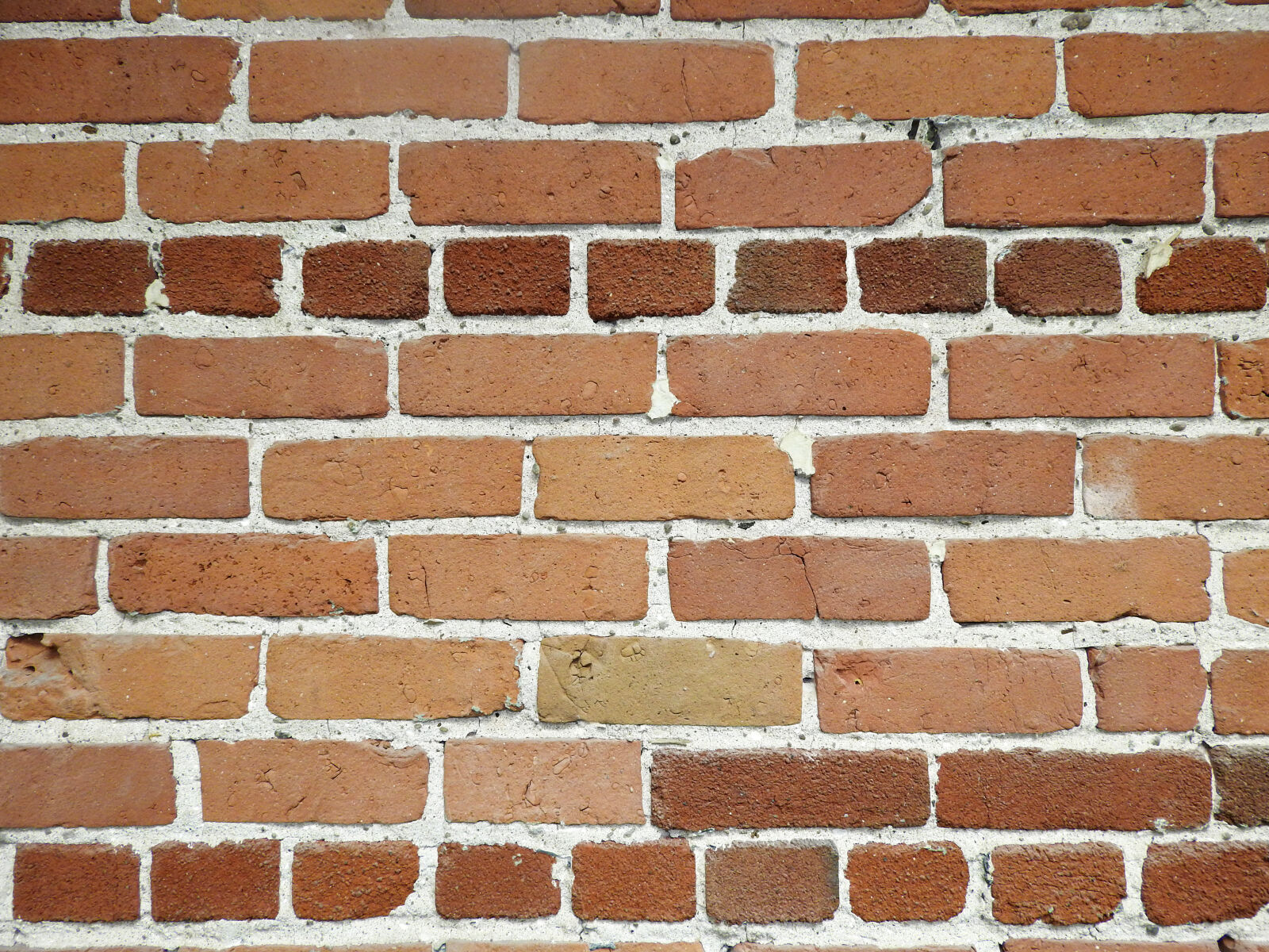 Nikon Coolpix P610 sample photo. Brick, wall, color photography