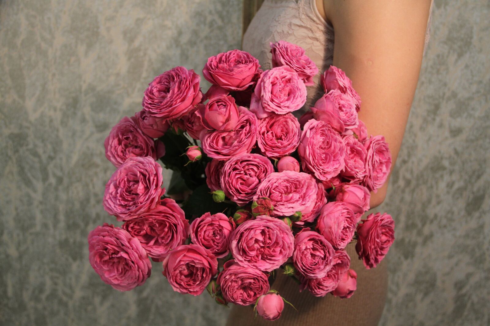 Canon EOS 7D sample photo. Pink, roses, in the photography