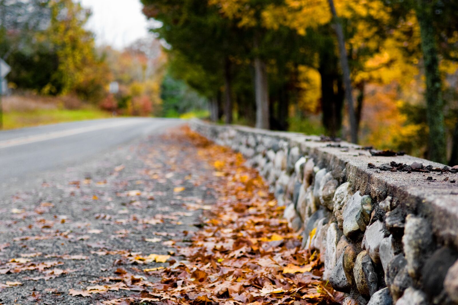 Nikon D70s sample photo. Fall, nature, road photography